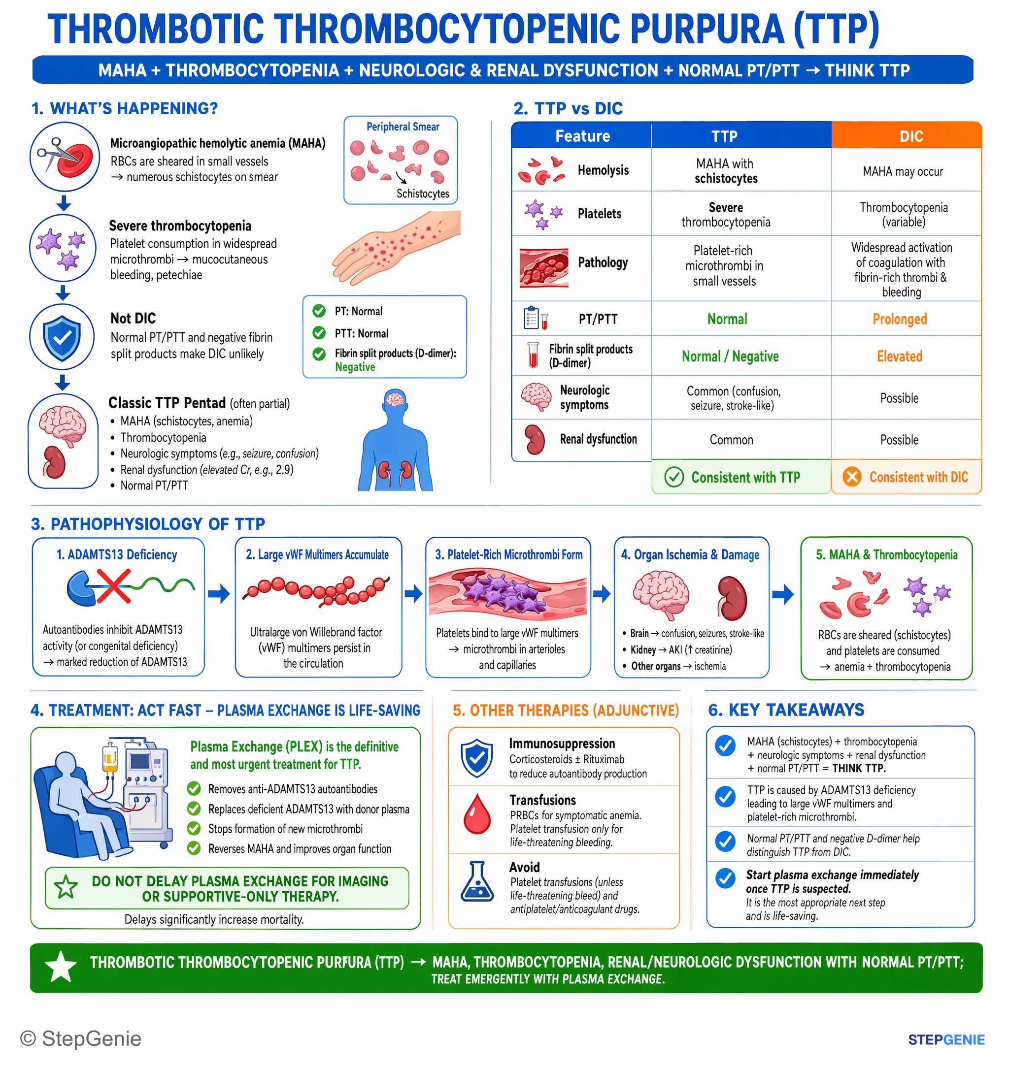 Platelet disorders — StepGenie USMLE Step 2 explanation infographic