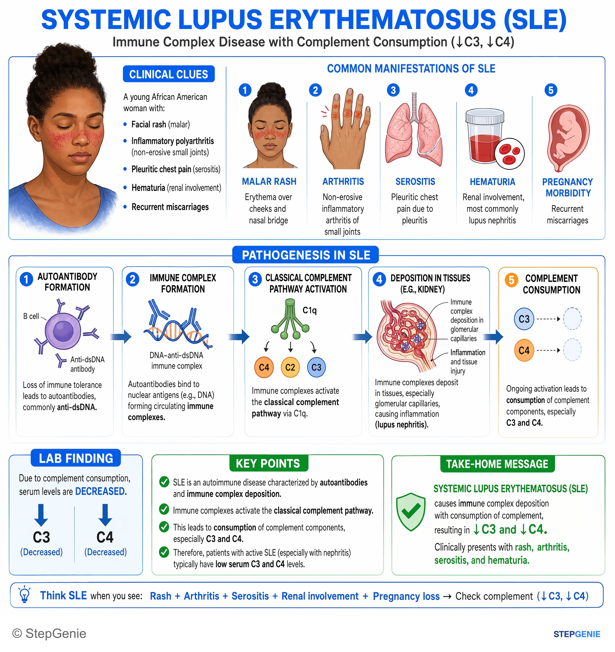 Autoimmune disorders — StepGenie USMLE Step 1 explanation infographic