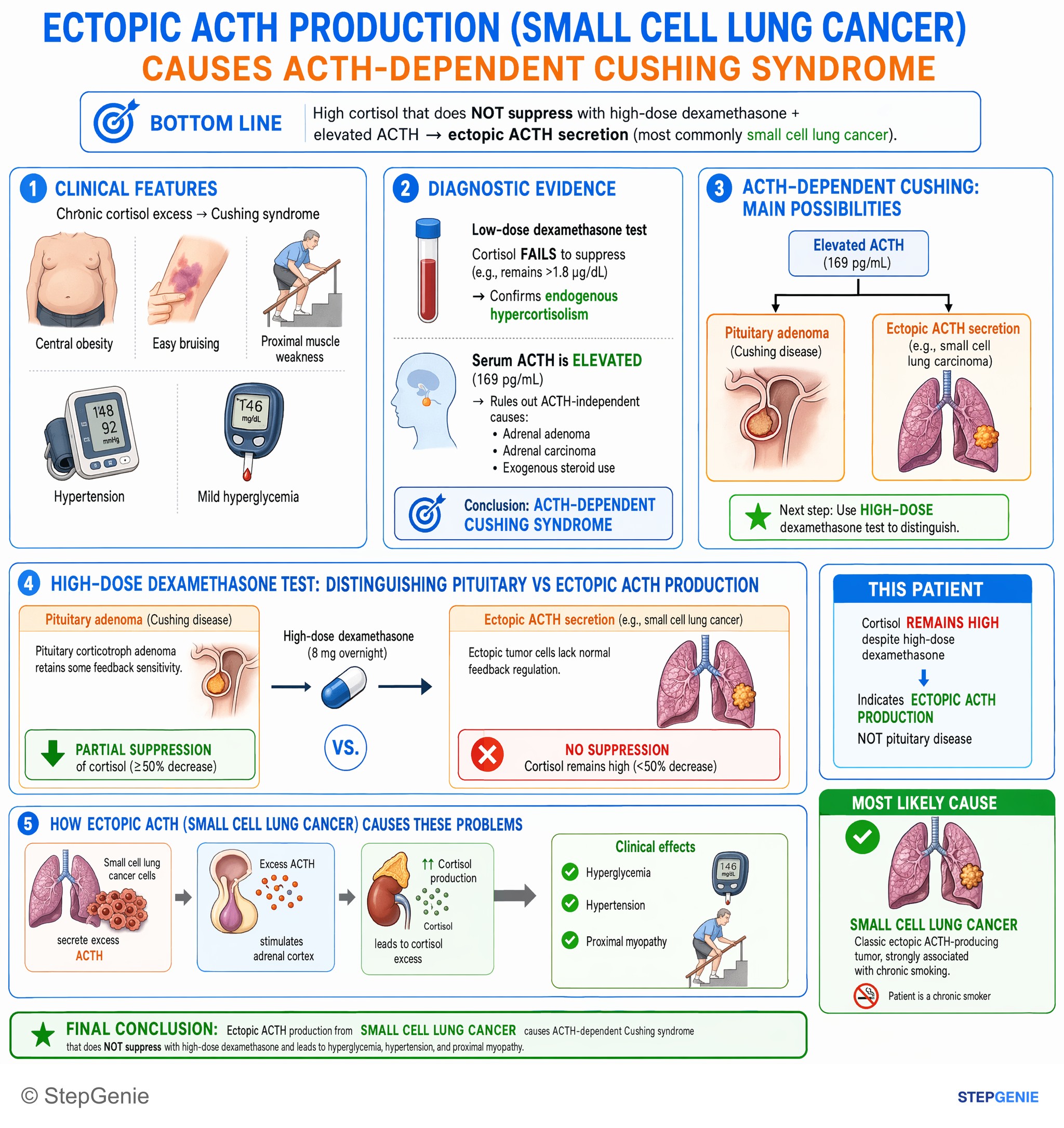 Adrenal disorders — StepGenie USMLE Step 1 explanation infographic