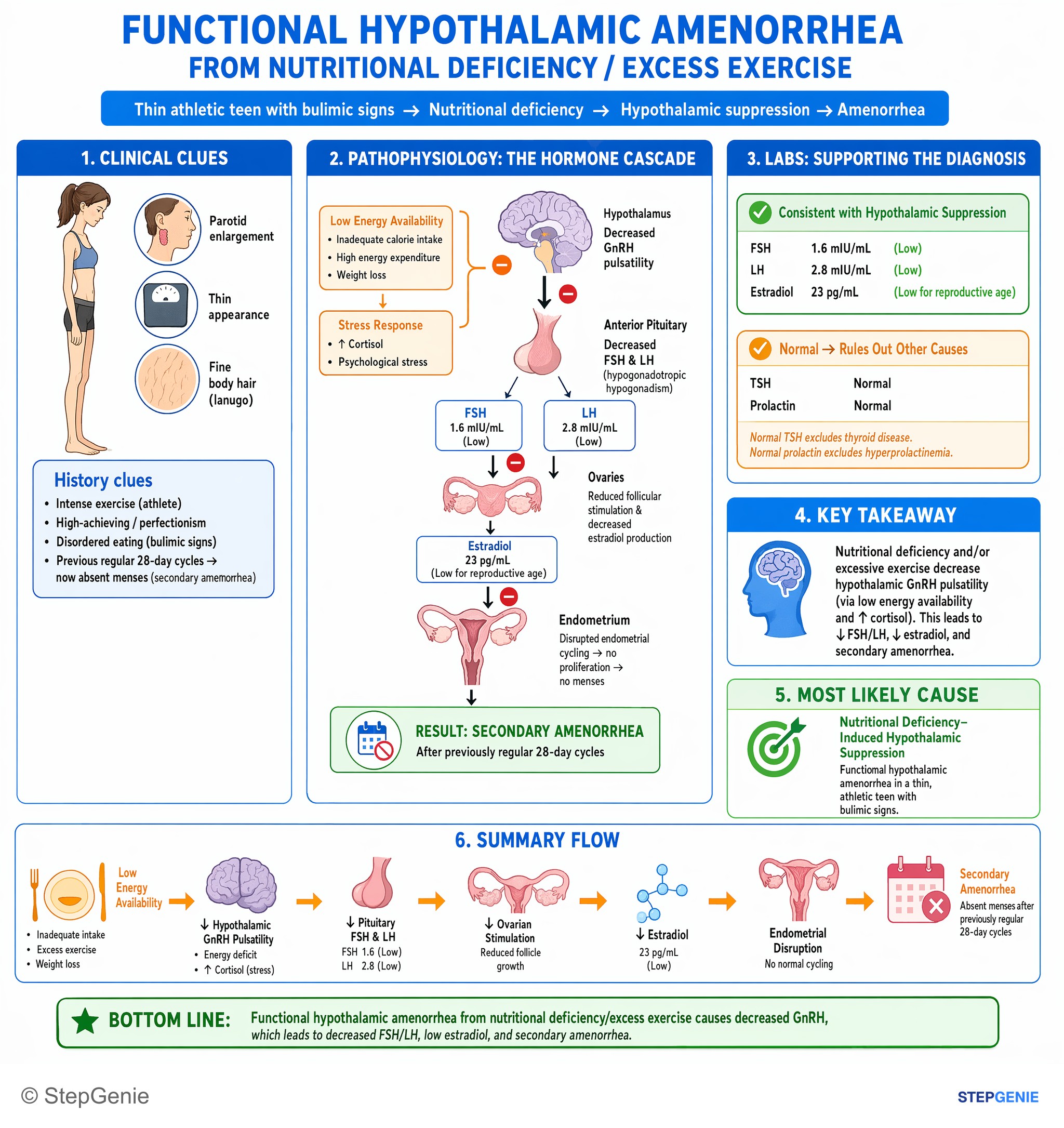 Eating disorders — StepGenie USMLE Step 2 explanation infographic