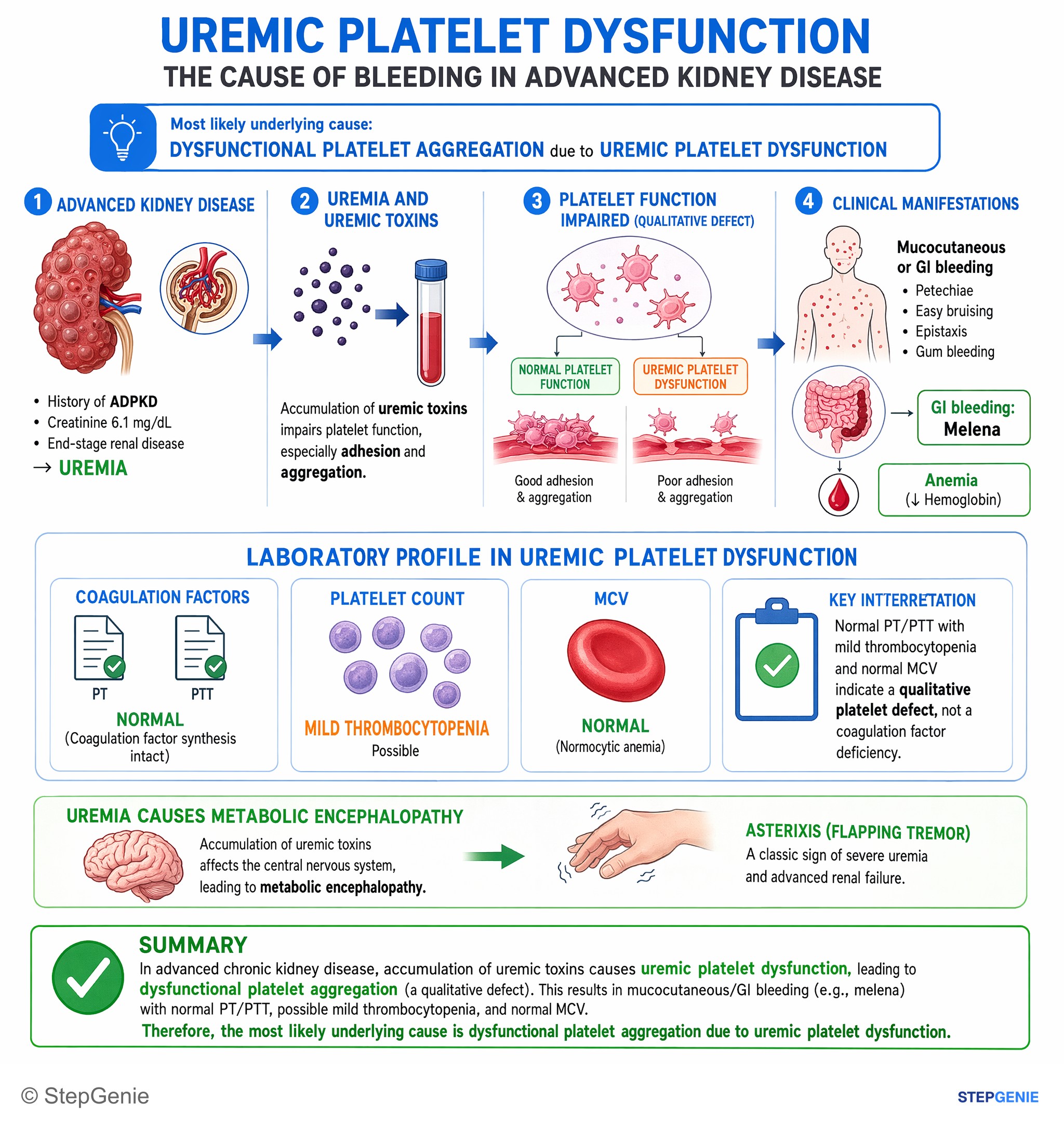 Chronic kidney disease — StepGenie USMLE Step 1 explanation infographic