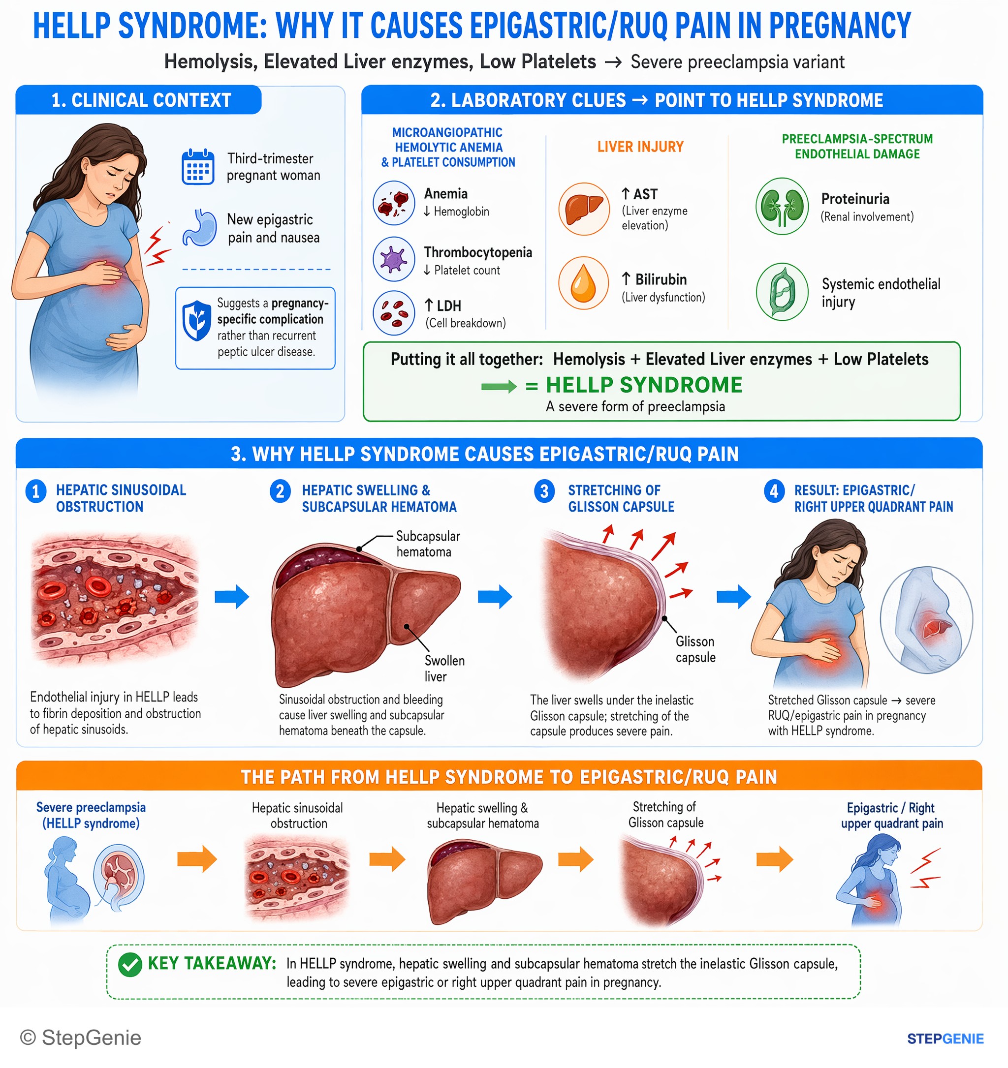 Disorders of pregnancy, childbirth, and puerperium — StepGenie USMLE Step 2 explanation infographic