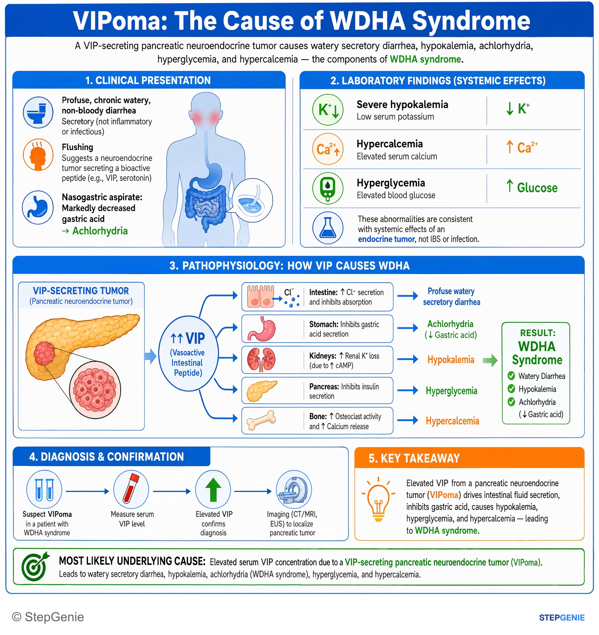 Tumors/Malignancy of the GI tract — StepGenie USMLE Step 1 explanation infographic