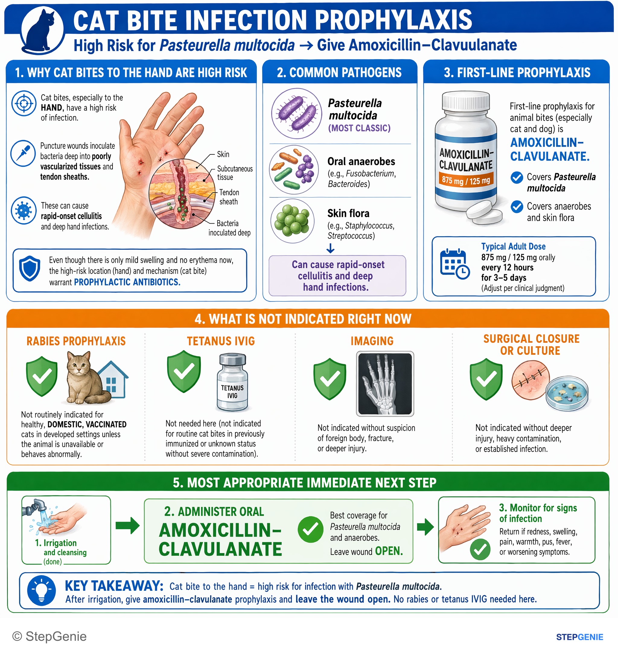 Bacterial infections — StepGenie USMLE Step 2 explanation infographic