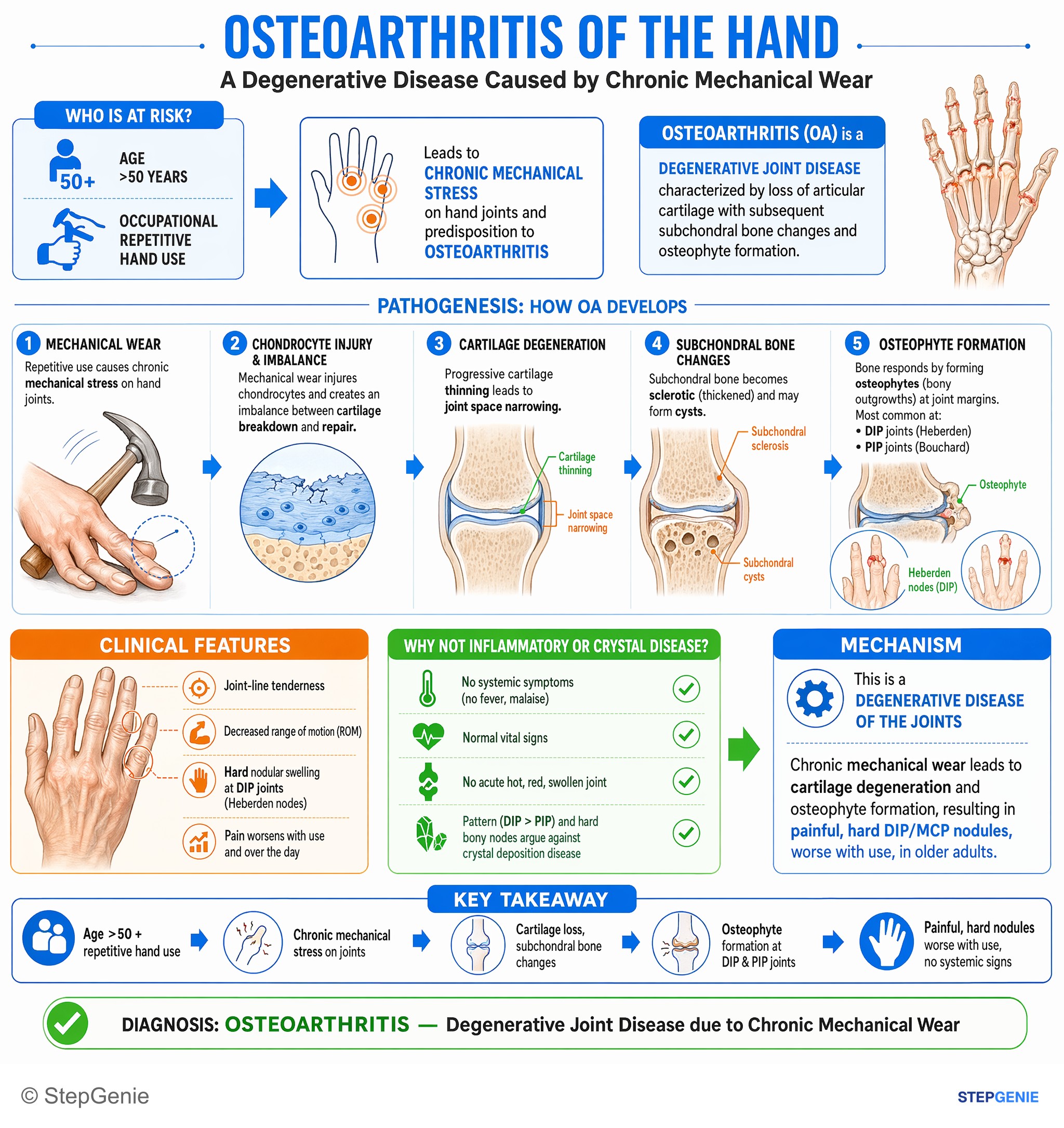 Arthritis and spondyloarthropathies — StepGenie USMLE Step 1 explanation infographic