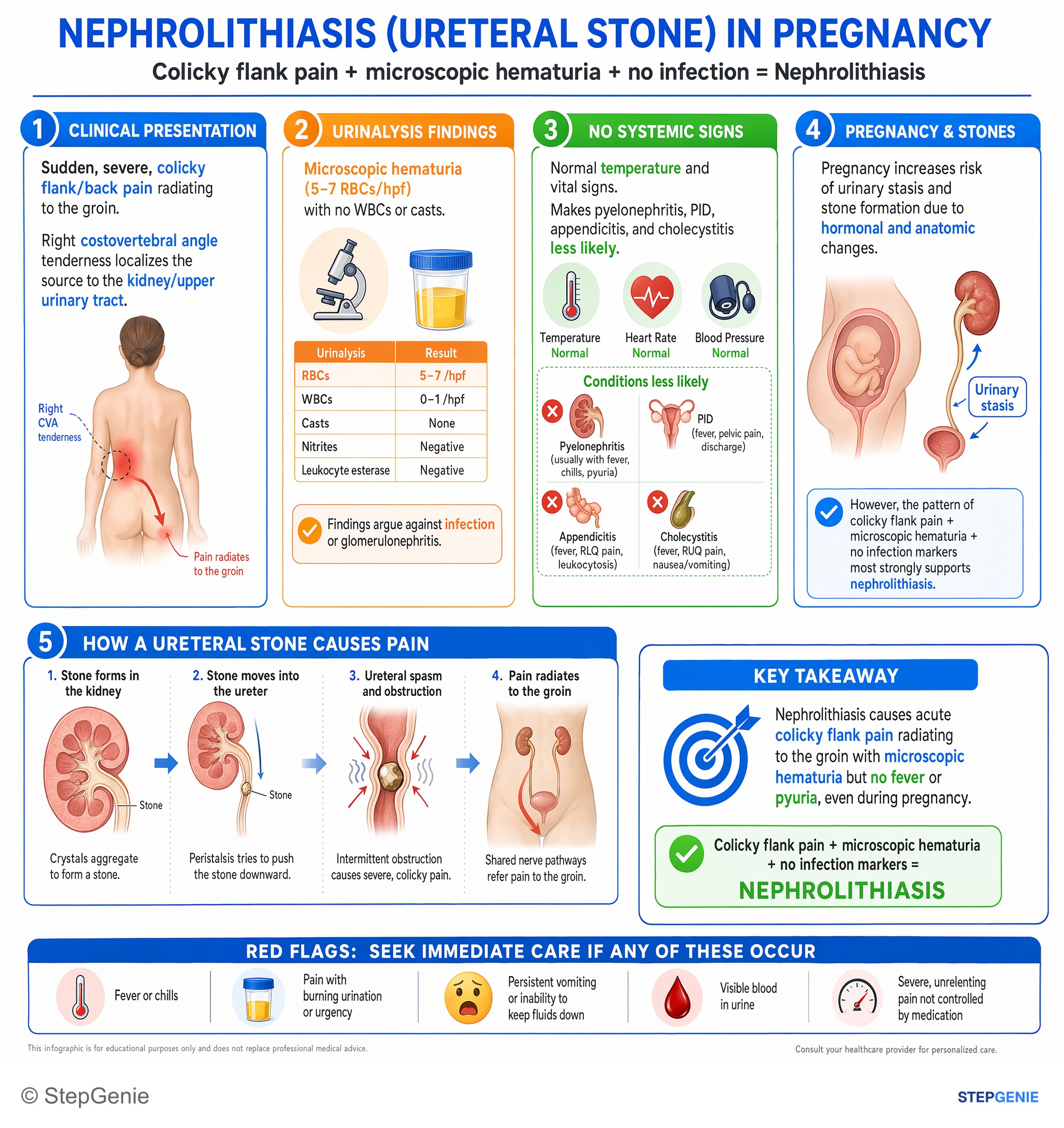 Nephrolithiasis, hematuria, and urinary tract obstruction — StepGenie USMLE Step 2 explanation infographic