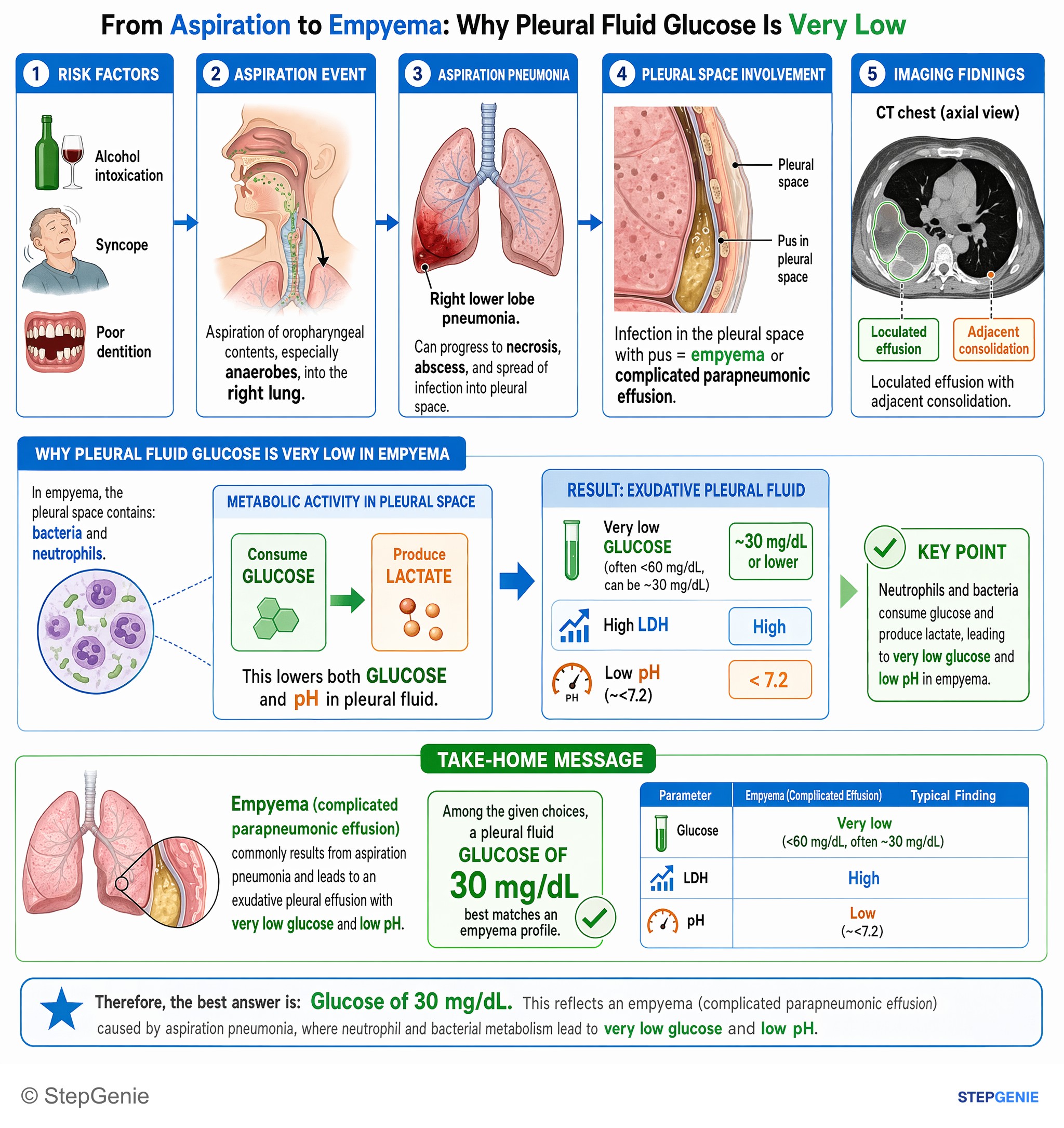 Pulmonary infections — StepGenie USMLE Step 1 explanation infographic