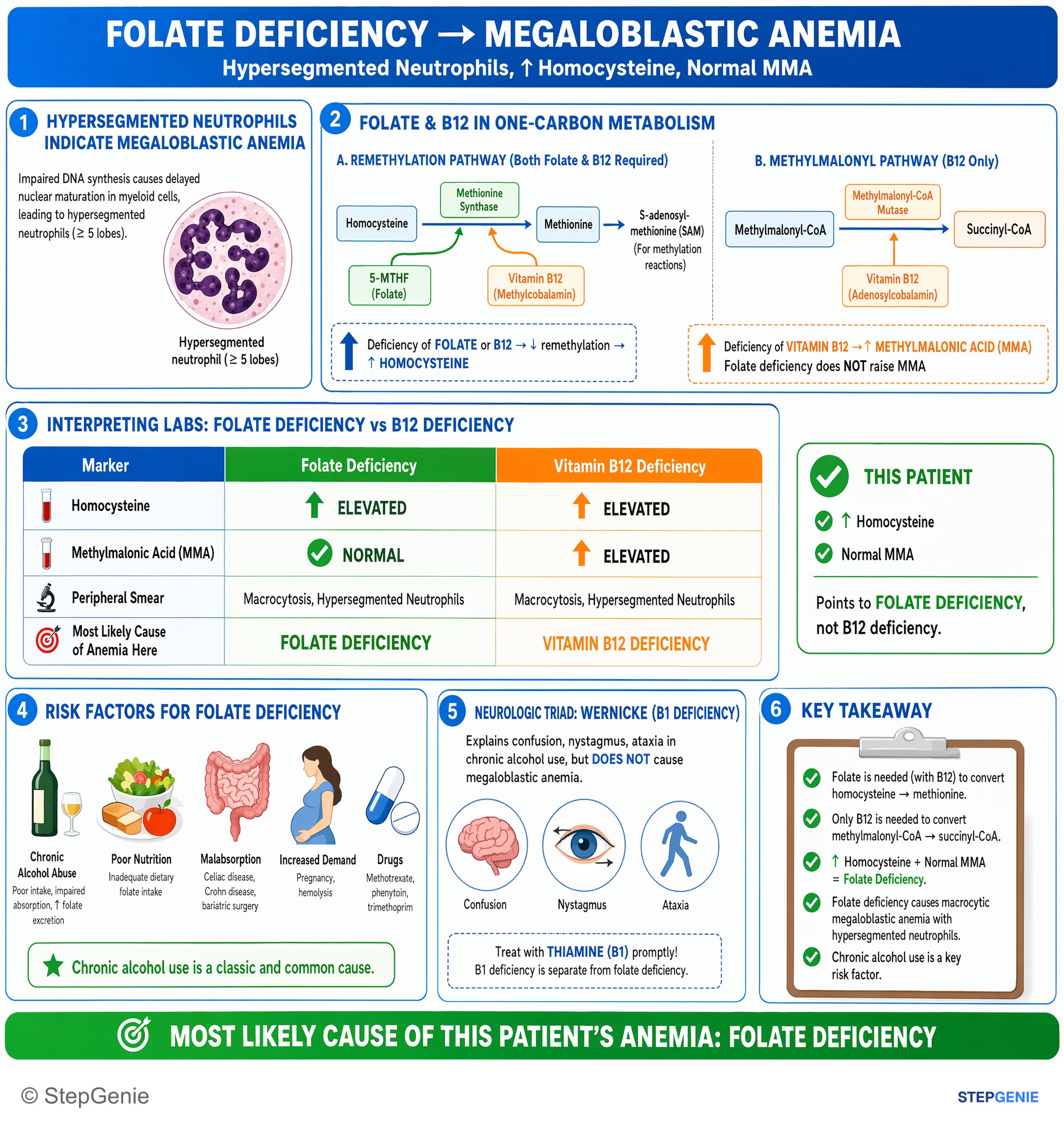 Disorders of nutrition — StepGenie USMLE Step 1 explanation infographic