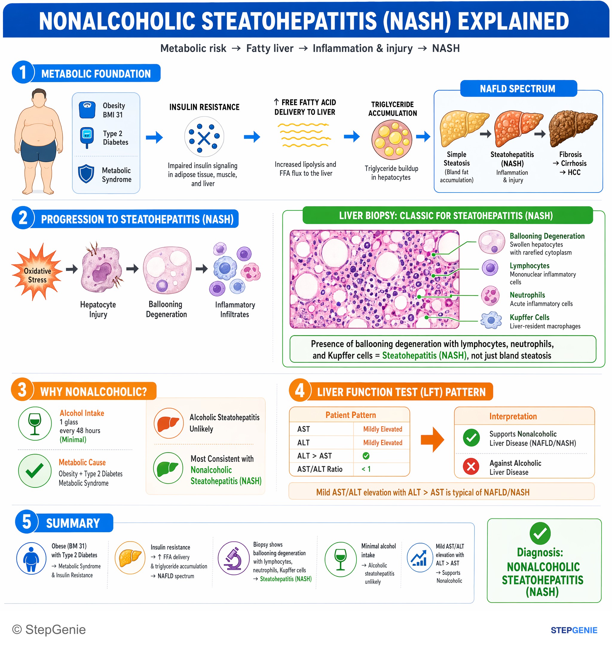 Hepatic disorders — StepGenie USMLE Step 2 explanation infographic