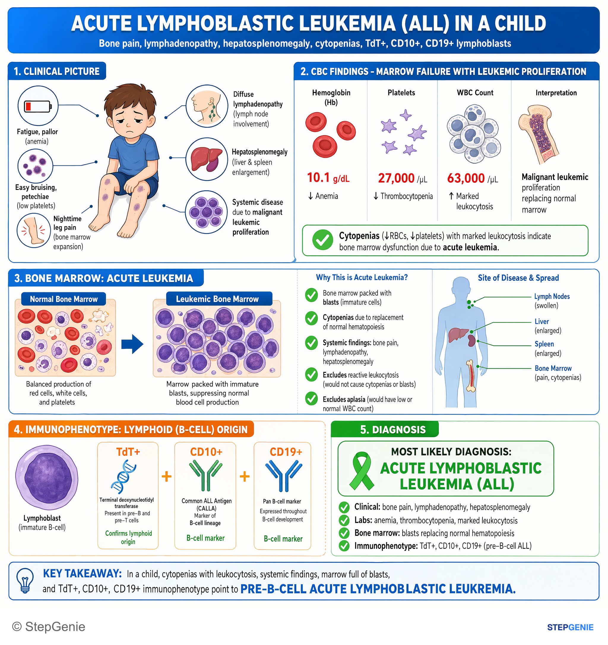 White blood cell disorders — StepGenie USMLE Step 2 explanation infographic