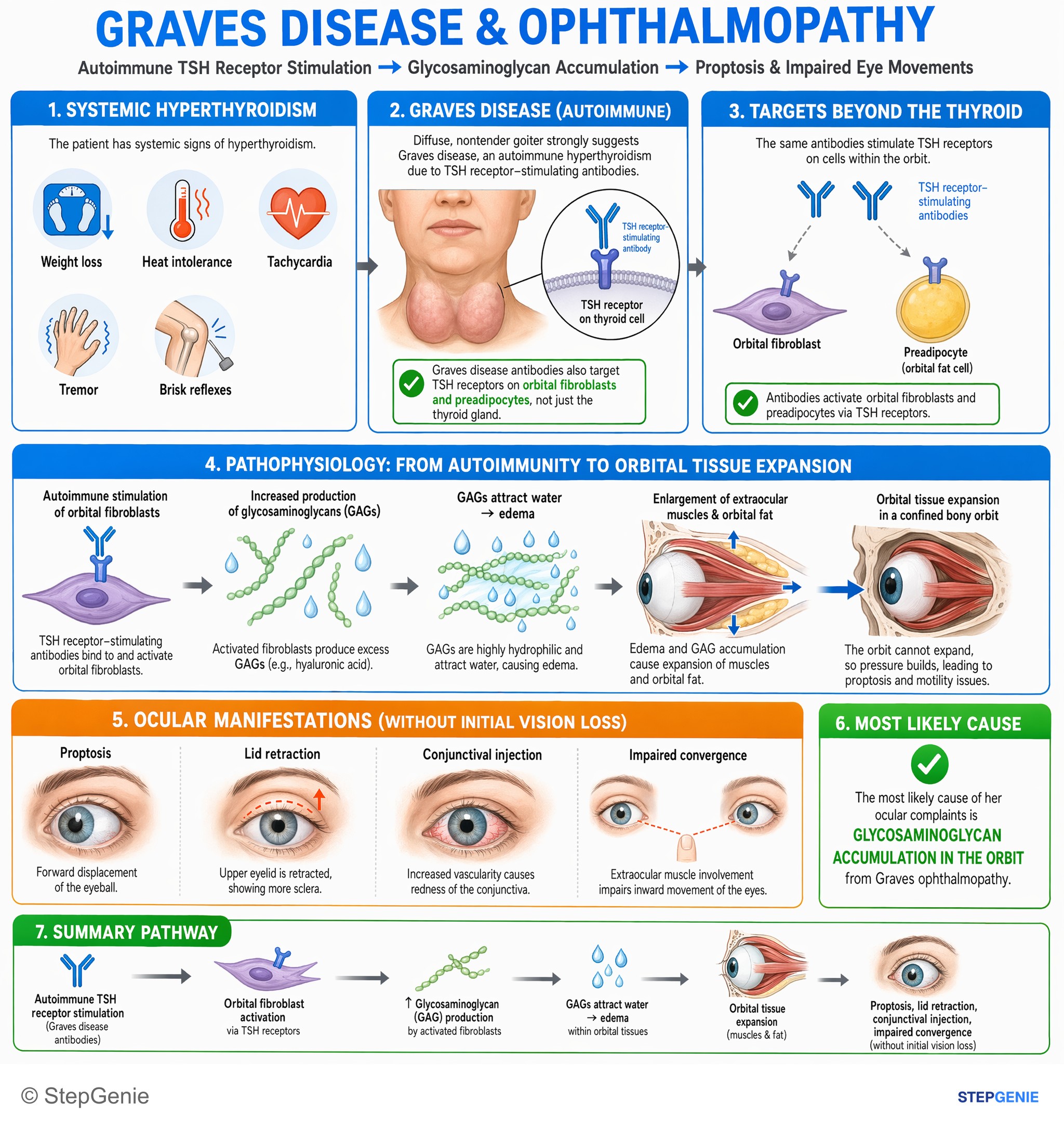 Thyroid disorders — StepGenie USMLE Step 1 explanation infographic