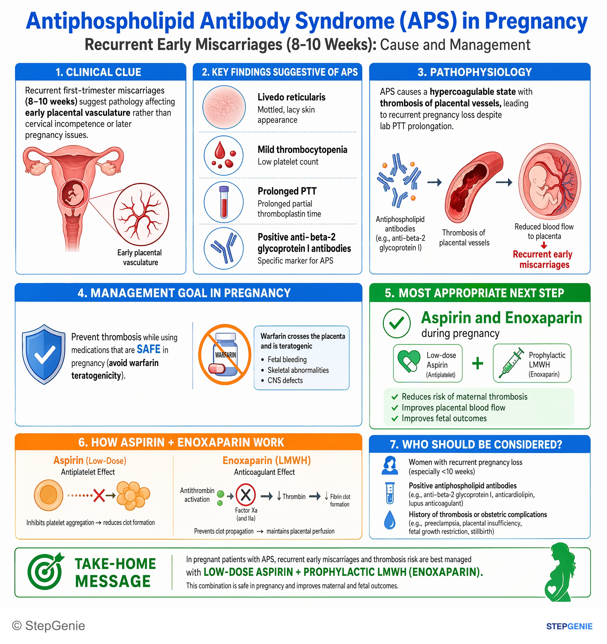 Autoimmune diseases — StepGenie USMLE Step 2 explanation infographic