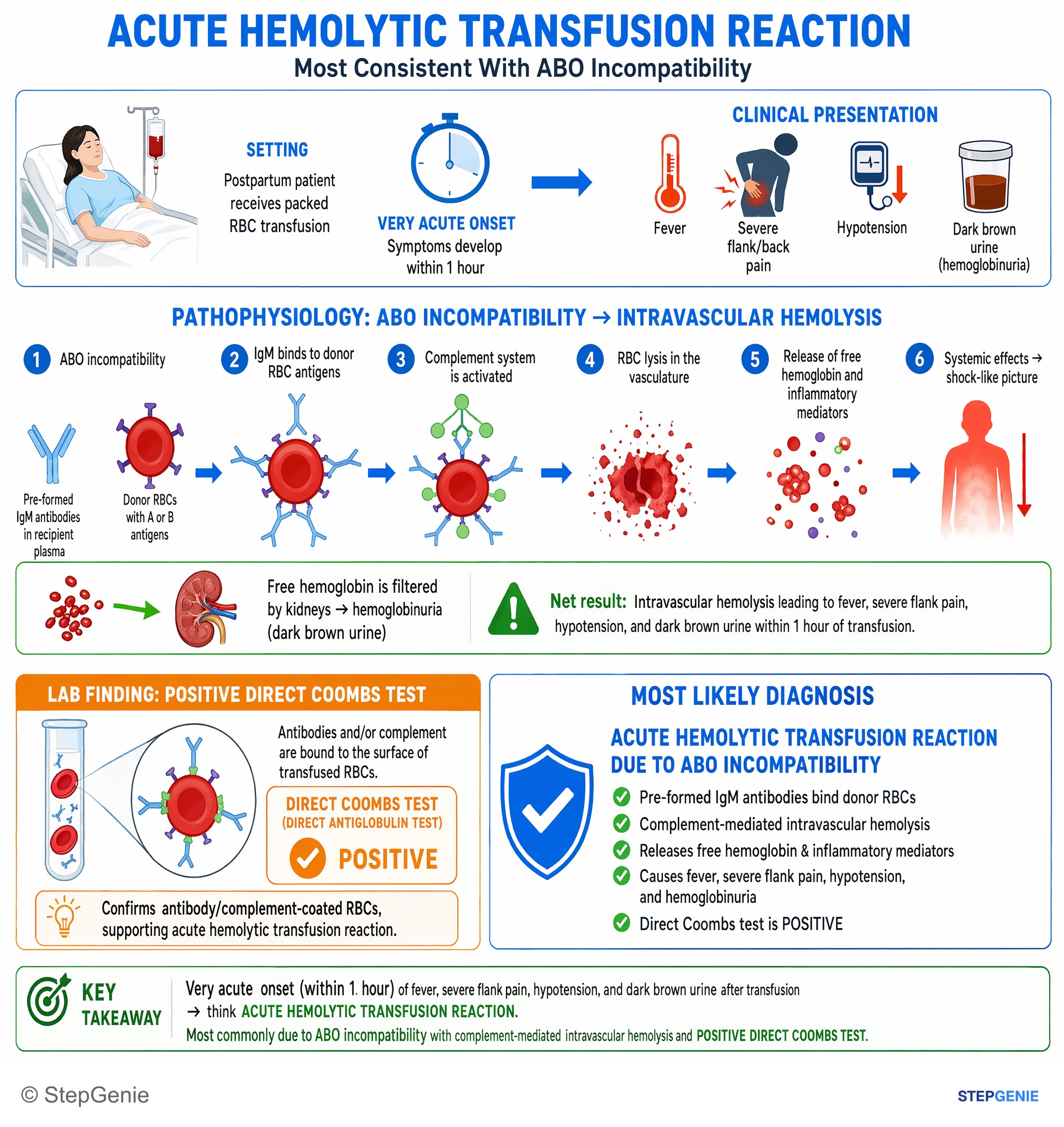 Transfusion medicine — StepGenie USMLE Step 1 explanation infographic