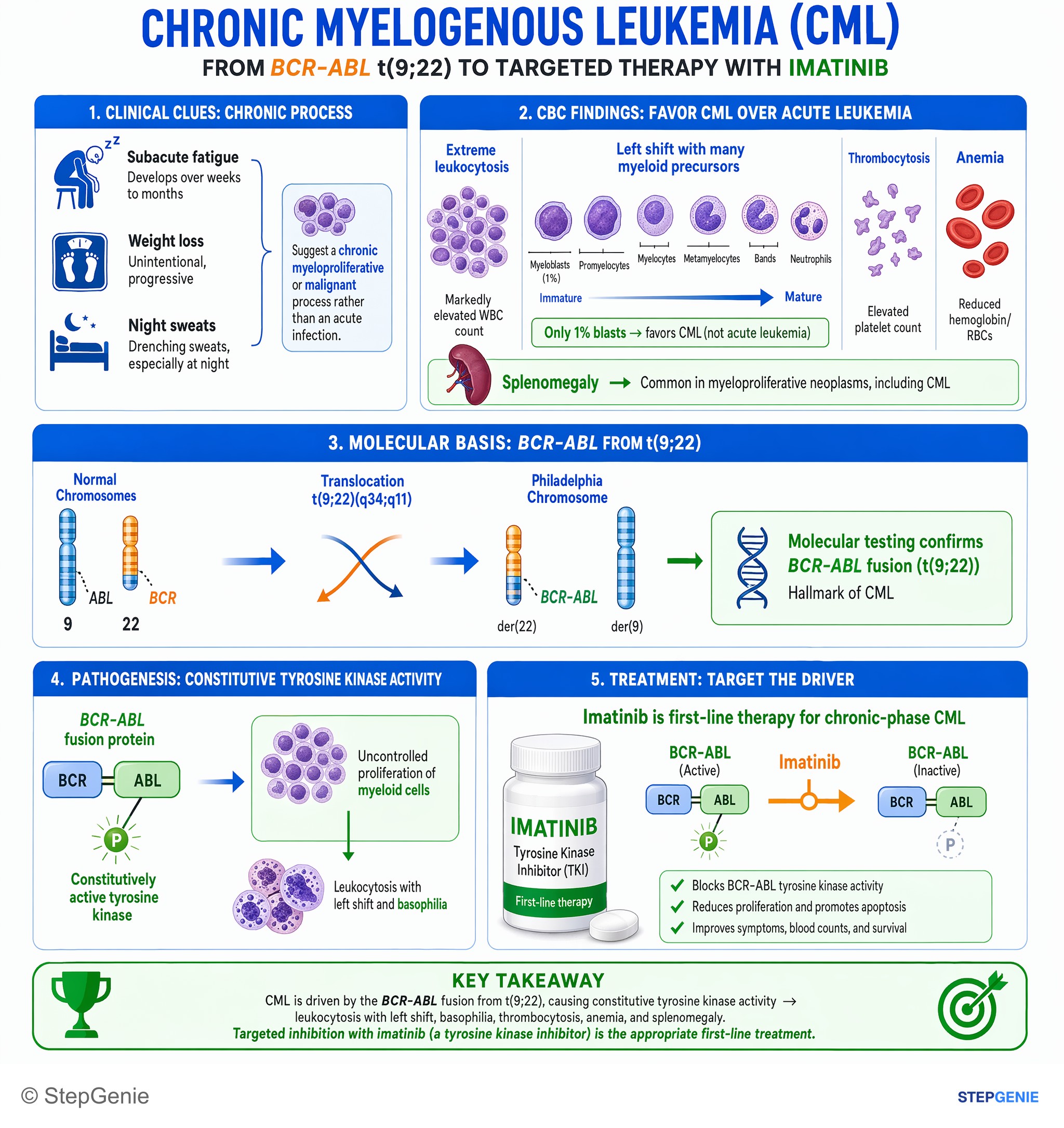 White blood cell disorders — StepGenie USMLE Step 2 explanation infographic