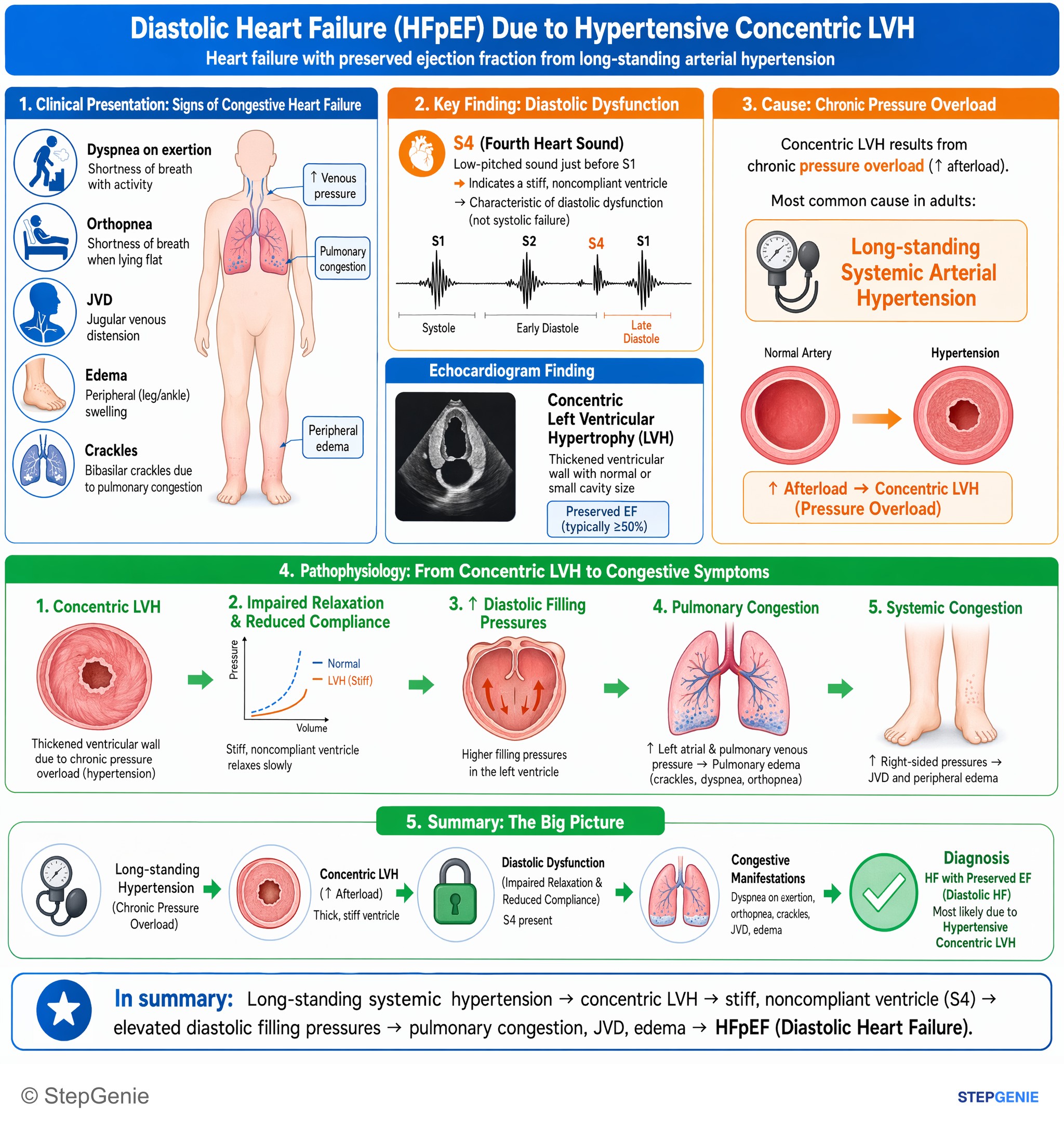 Hypertension — StepGenie USMLE Step 1 explanation infographic