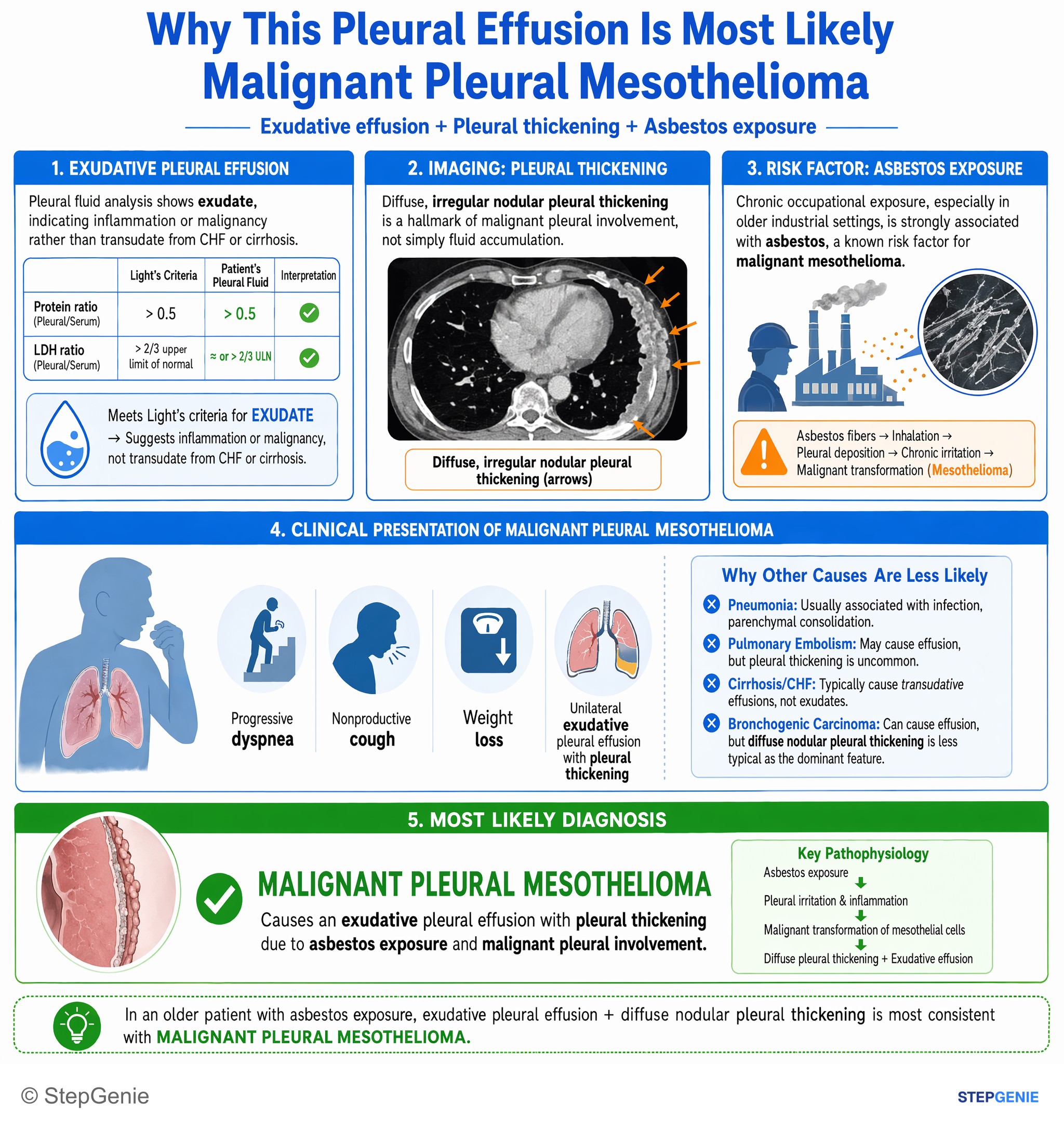 Miscellaneous — StepGenie USMLE Step 1 explanation infographic