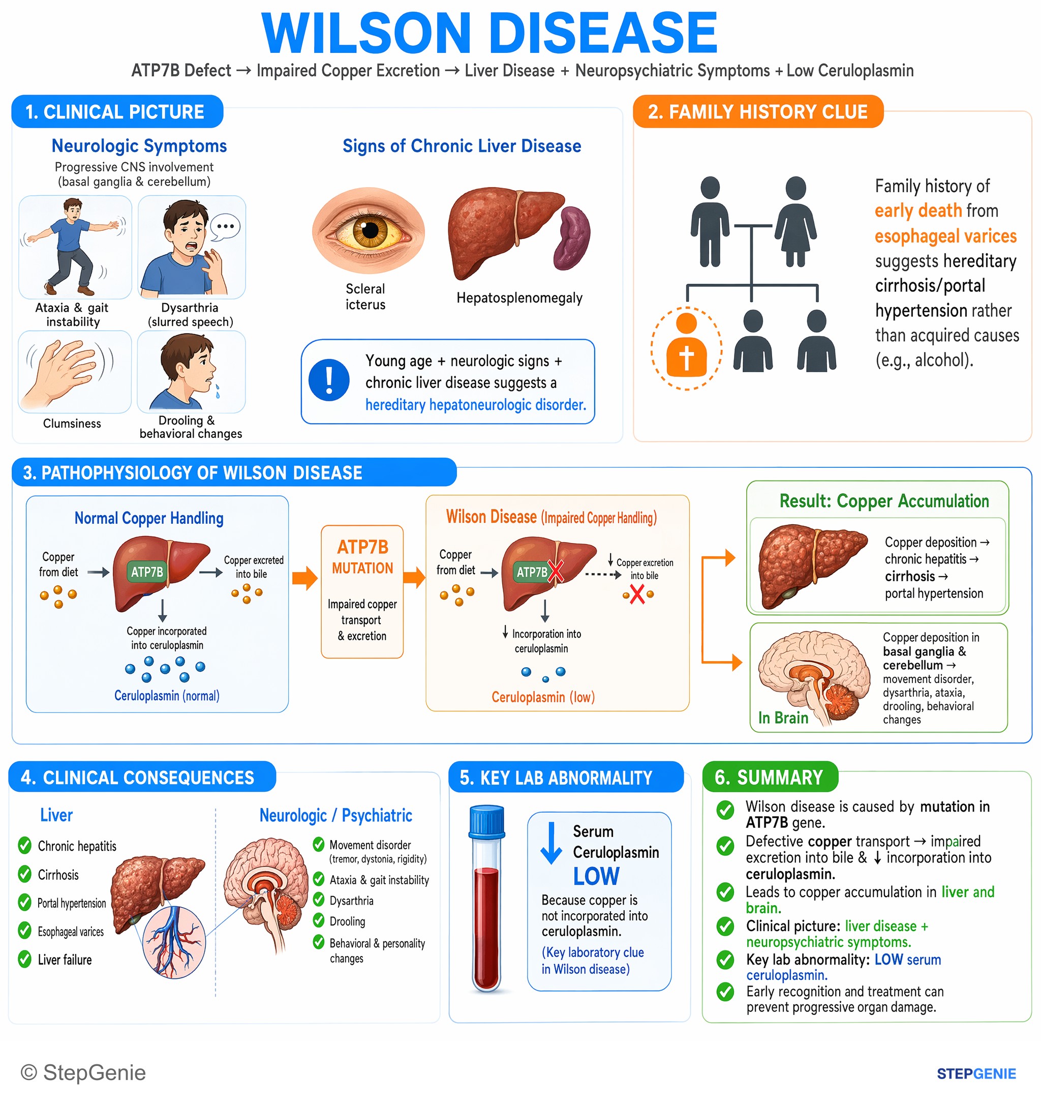 Hepatic disorders — StepGenie USMLE Step 1 explanation infographic