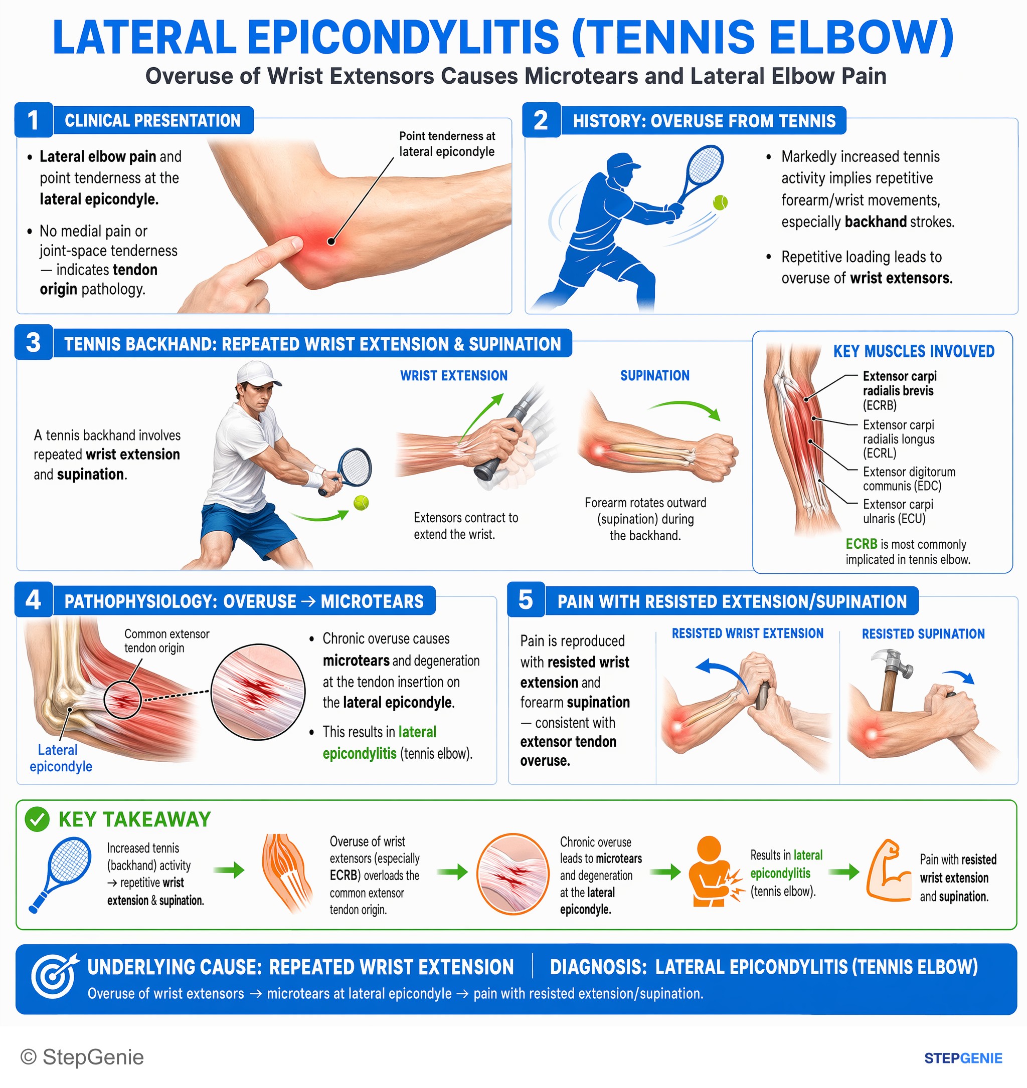 Upper limb nerves — StepGenie USMLE Step 1 explanation infographic