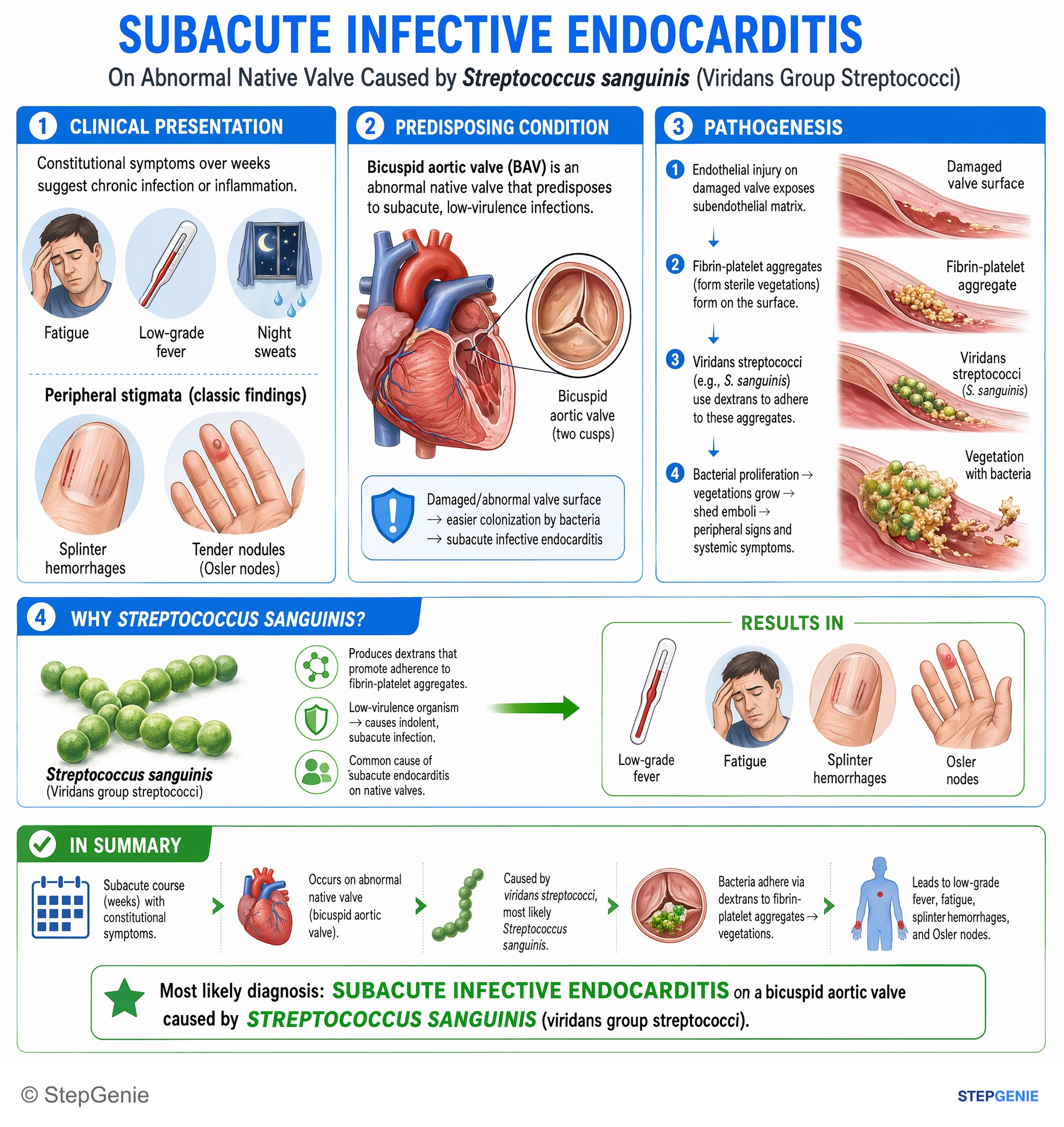 Infections / infection-related conditions — StepGenie USMLE Step 1 explanation infographic