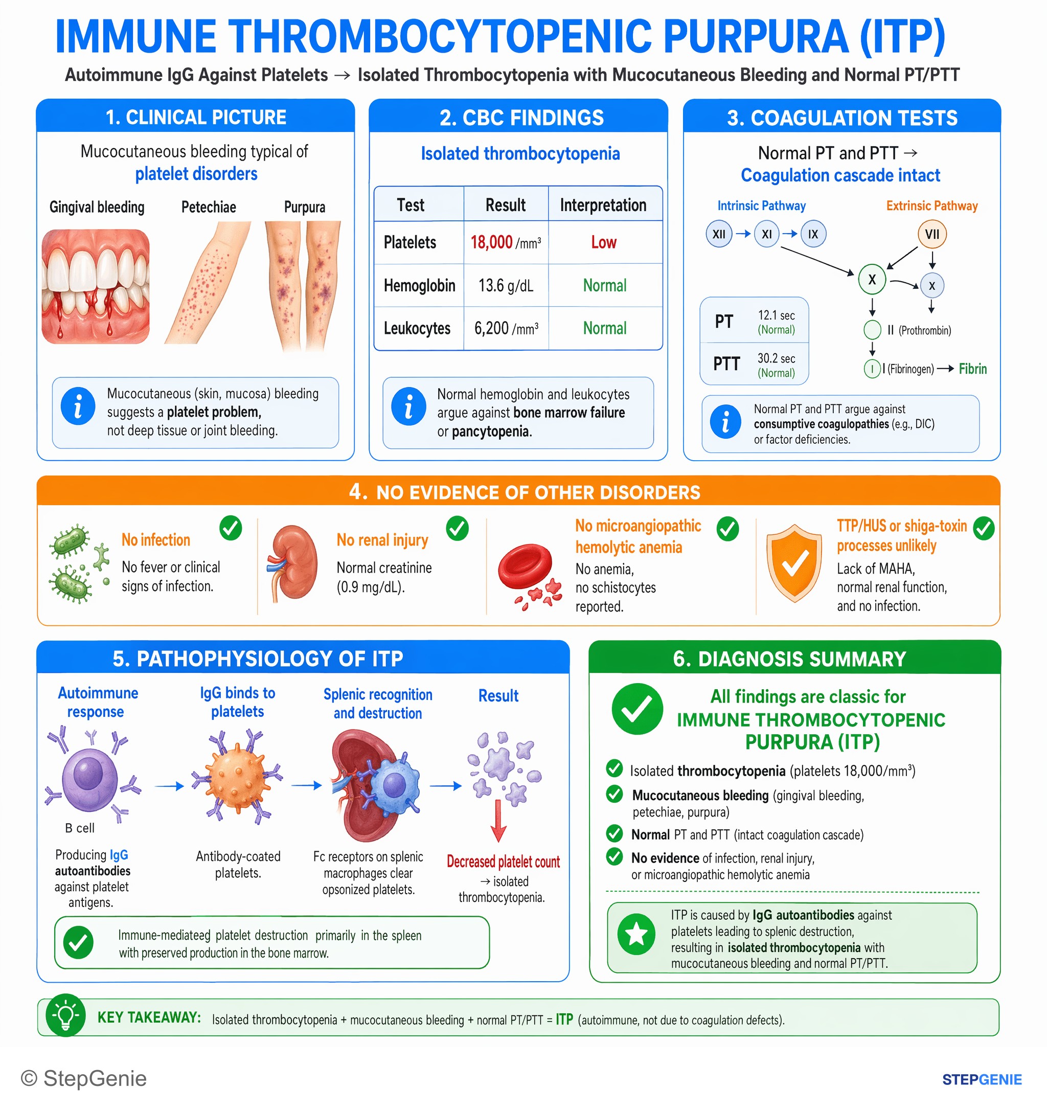 Platelet disorders — StepGenie USMLE Step 1 explanation infographic