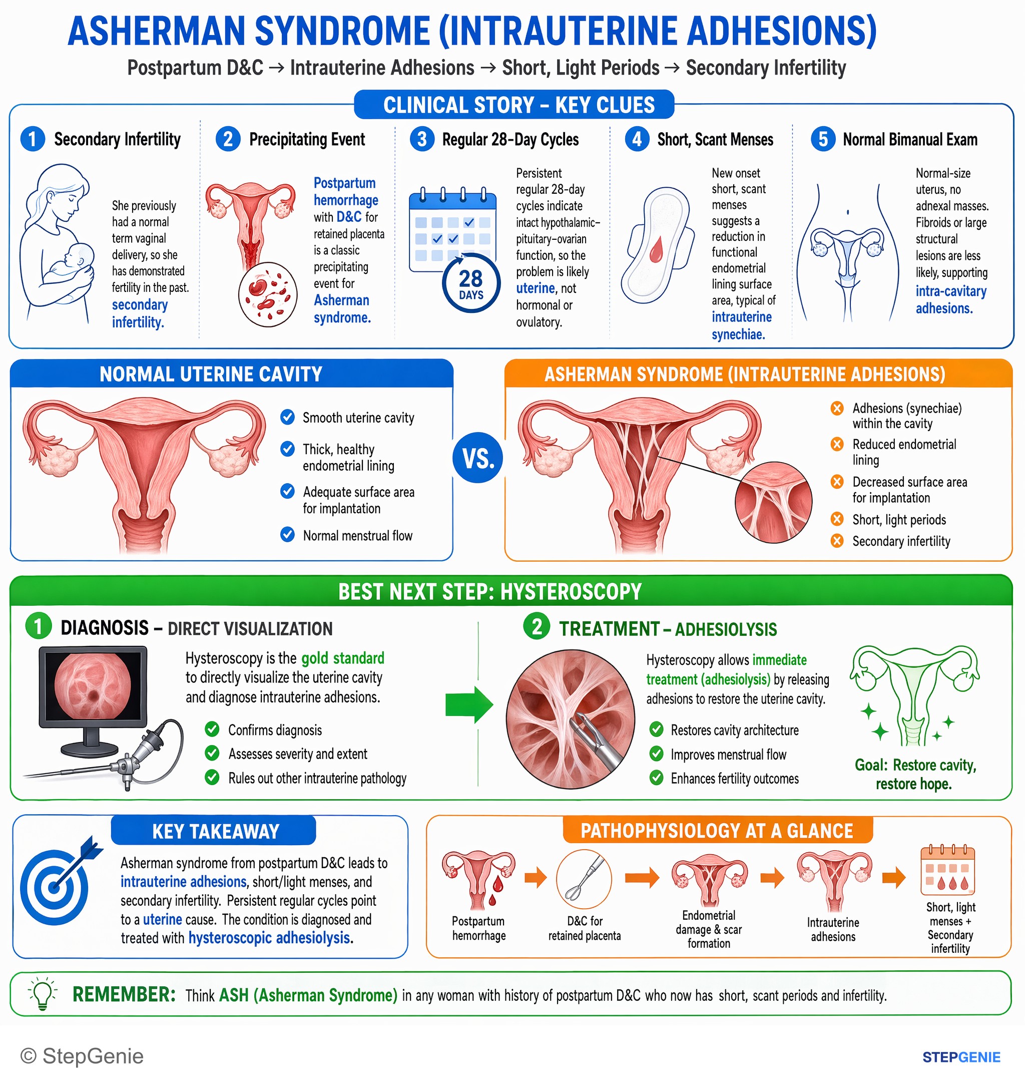 Miscellaneous — StepGenie USMLE Step 2 explanation infographic
