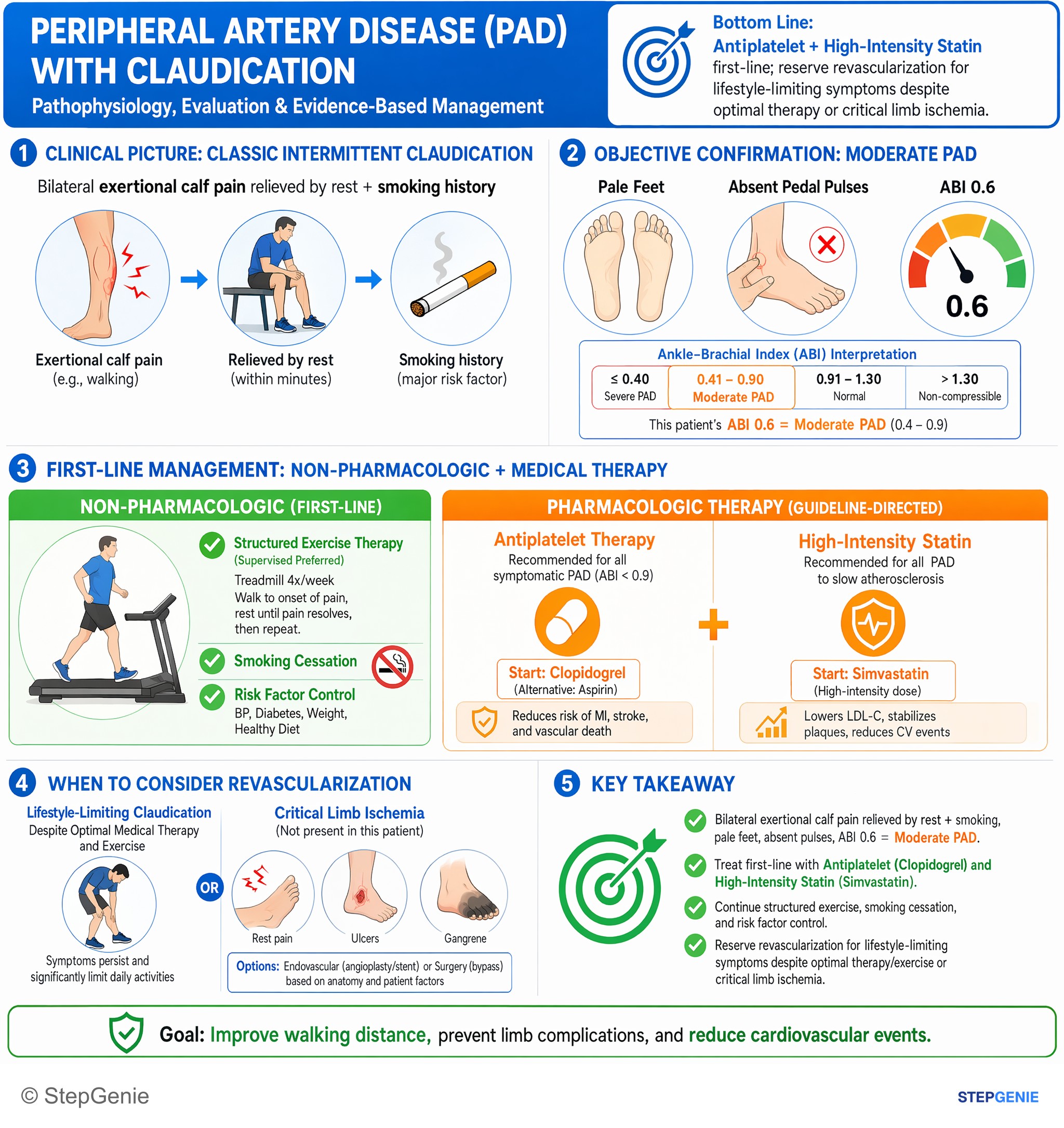Aortic and peripheral artery diseases — StepGenie USMLE Step 2 explanation infographic