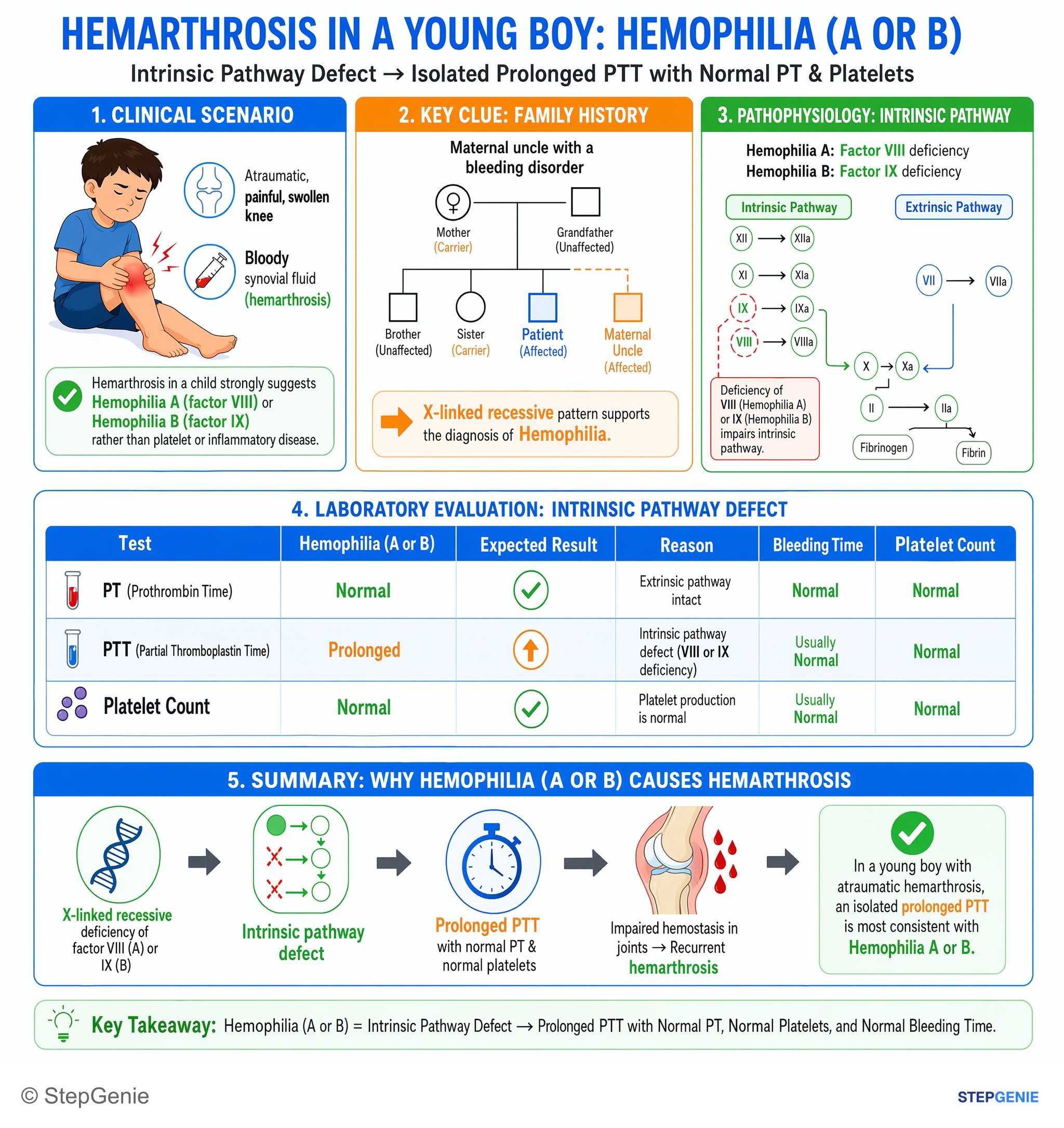Bleeding disorders — StepGenie USMLE Step 1 explanation infographic