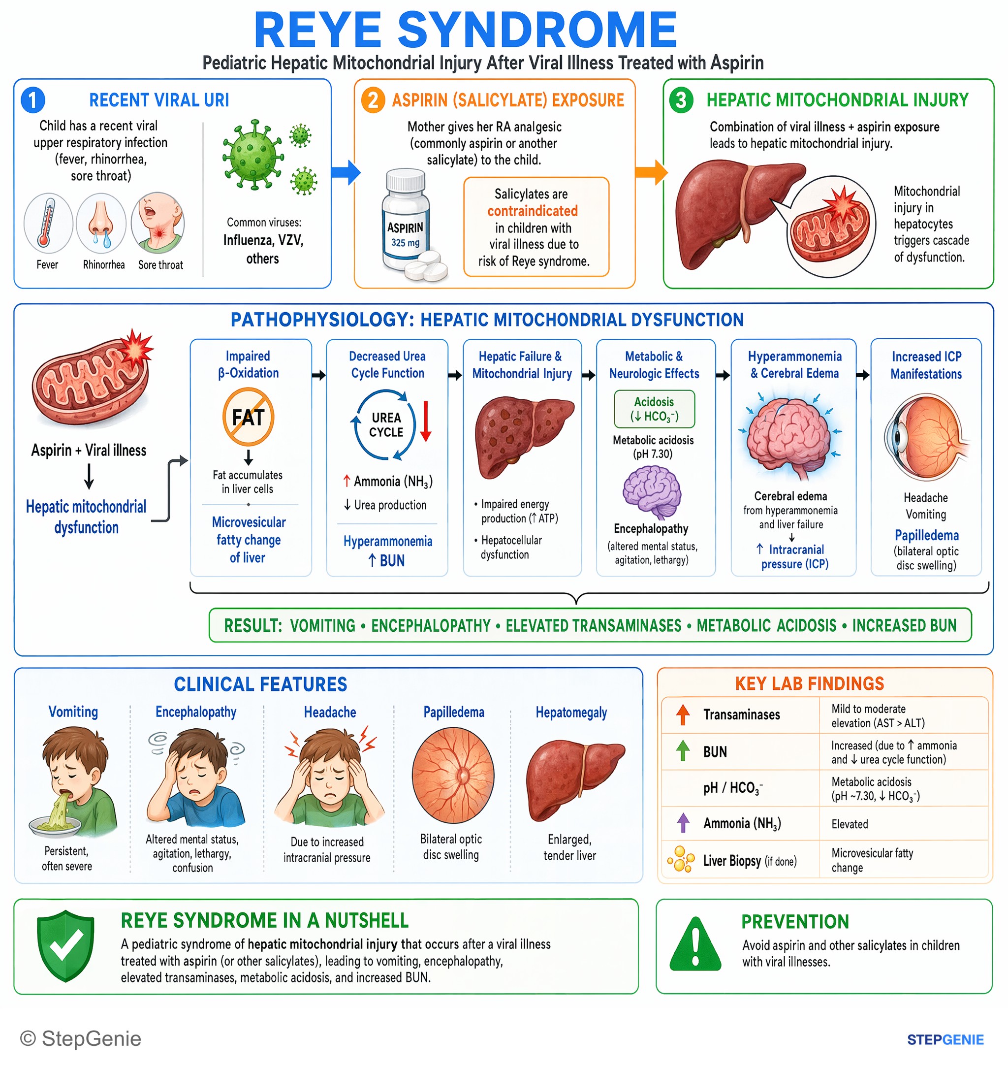 Hepatic disorders — StepGenie USMLE Step 1 explanation infographic