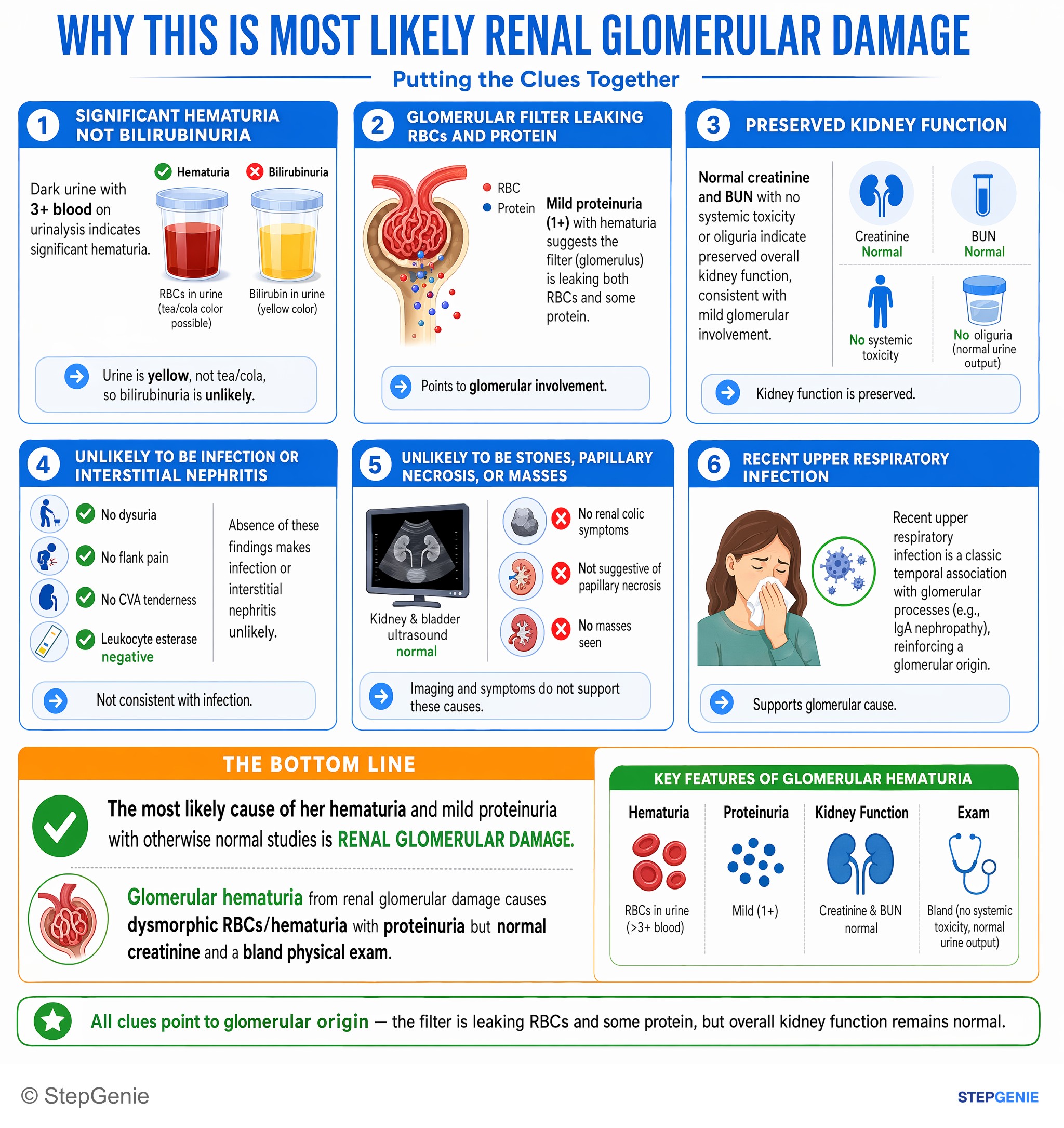Nephrolithiasis and urinary tract obstruction — StepGenie USMLE Step 1 explanation infographic