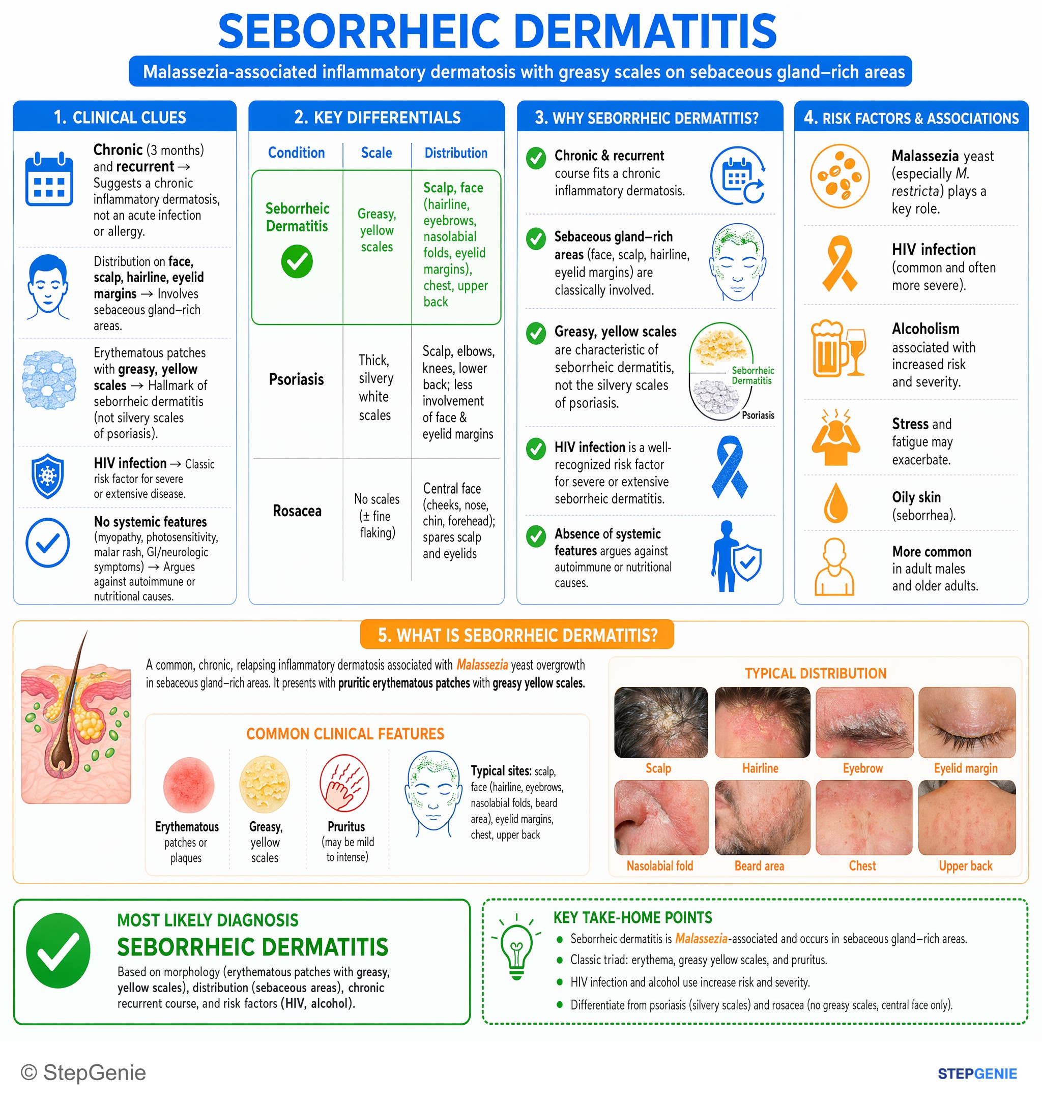 Inflammatory dermatoses and bullous diseases — StepGenie USMLE Step 2 explanation infographic