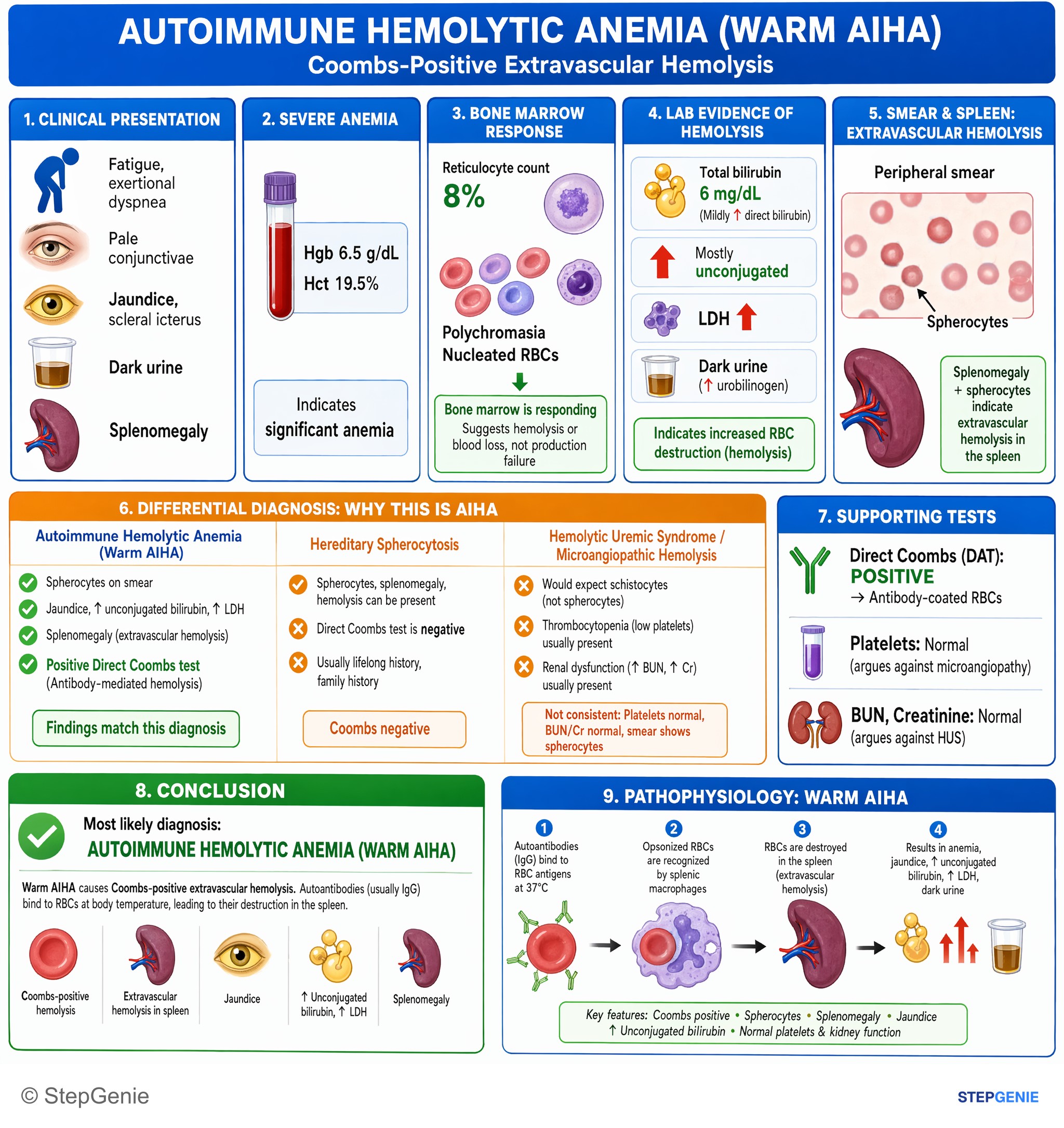 Red blood cell disorders — StepGenie USMLE Step 2 explanation infographic