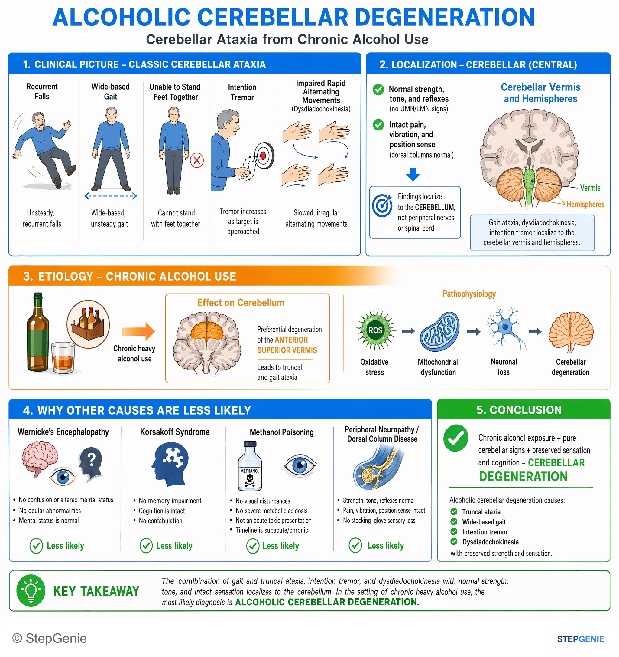 Normal structure and function of the nervous system — StepGenie USMLE Step 1 explanation infographic
