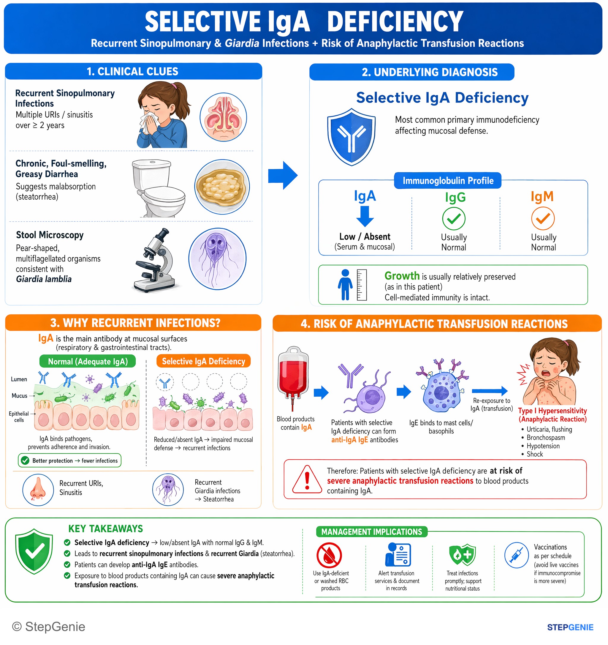 Absorptive conditions — StepGenie USMLE Step 1 explanation infographic
