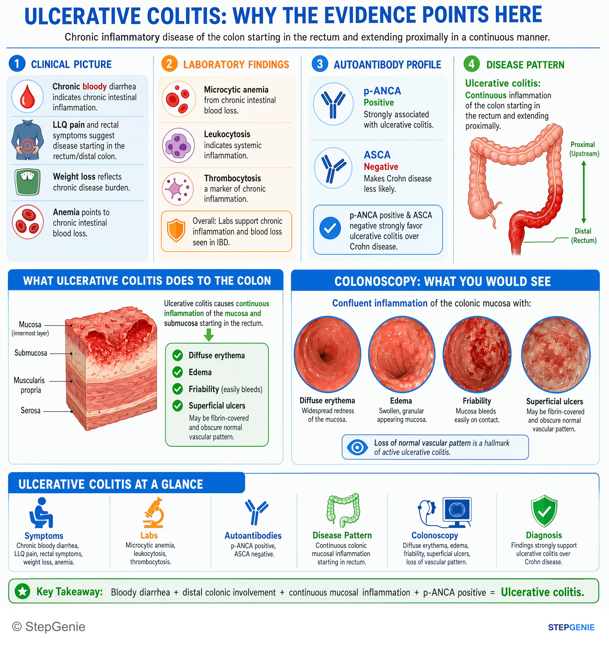 Intestinal and colorectal disorders — StepGenie USMLE Step 1 explanation infographic