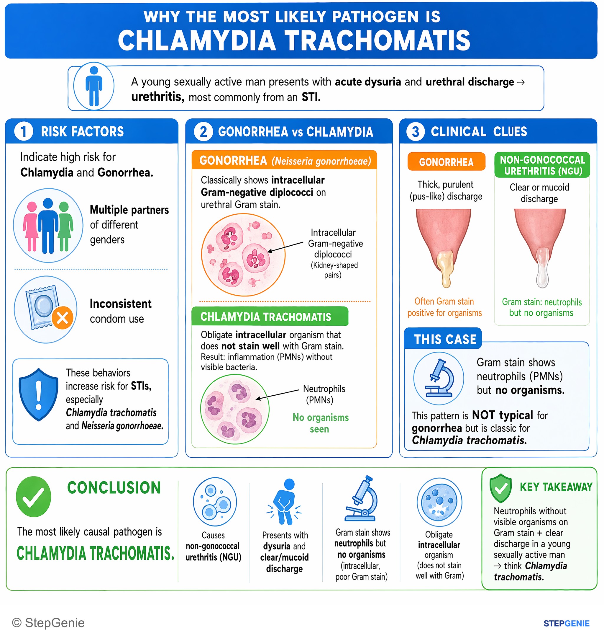 Bacterial infections — StepGenie USMLE Step 1 explanation infographic