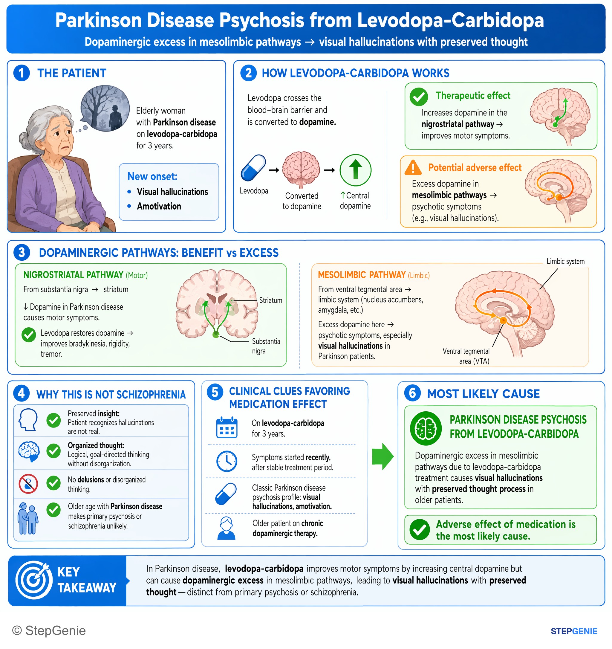 Drug effects / Toxic neuropathies — StepGenie USMLE Step 1 explanation infographic