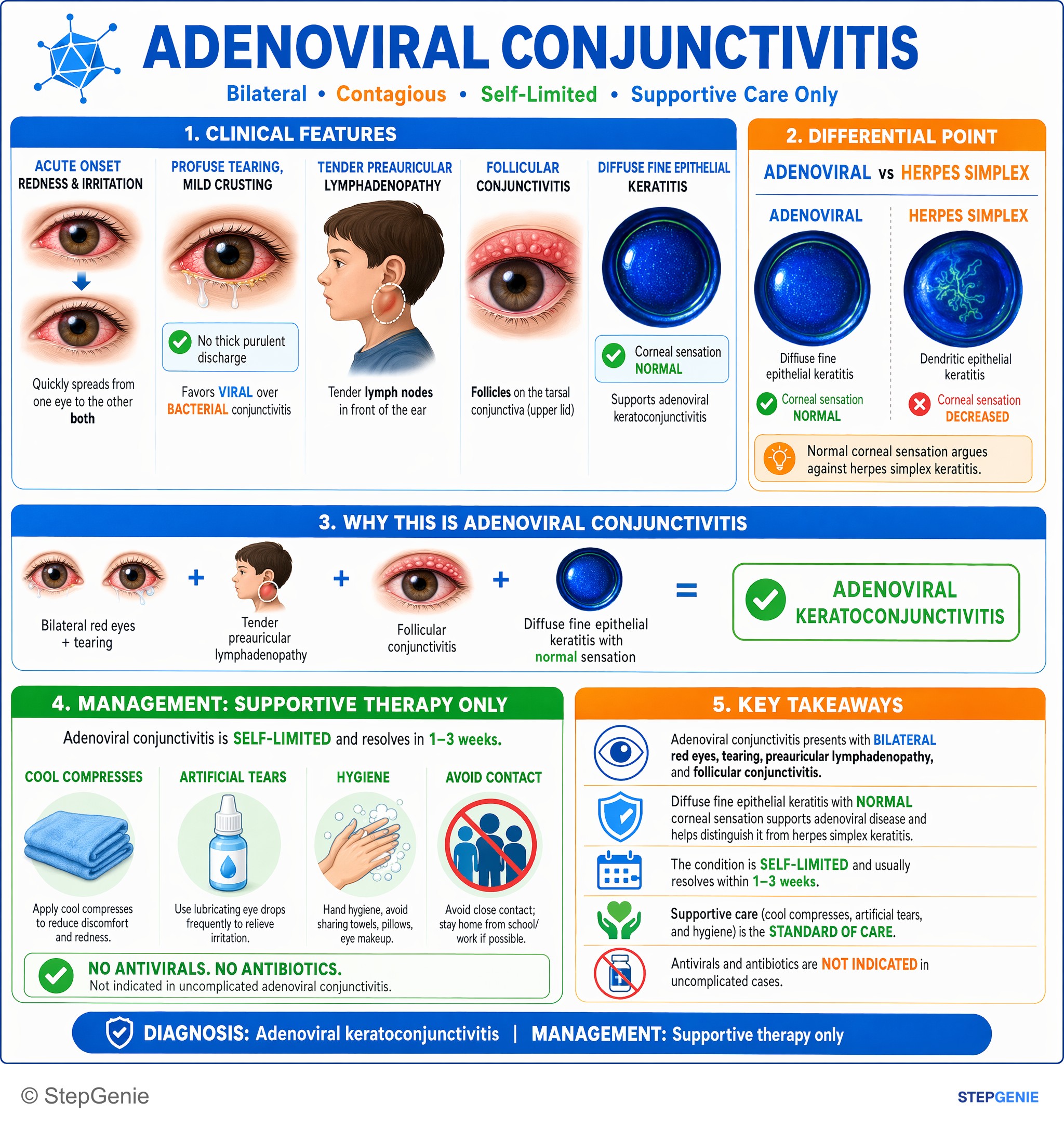 Disorders of the eye and associated structures — StepGenie USMLE Step 2 explanation infographic