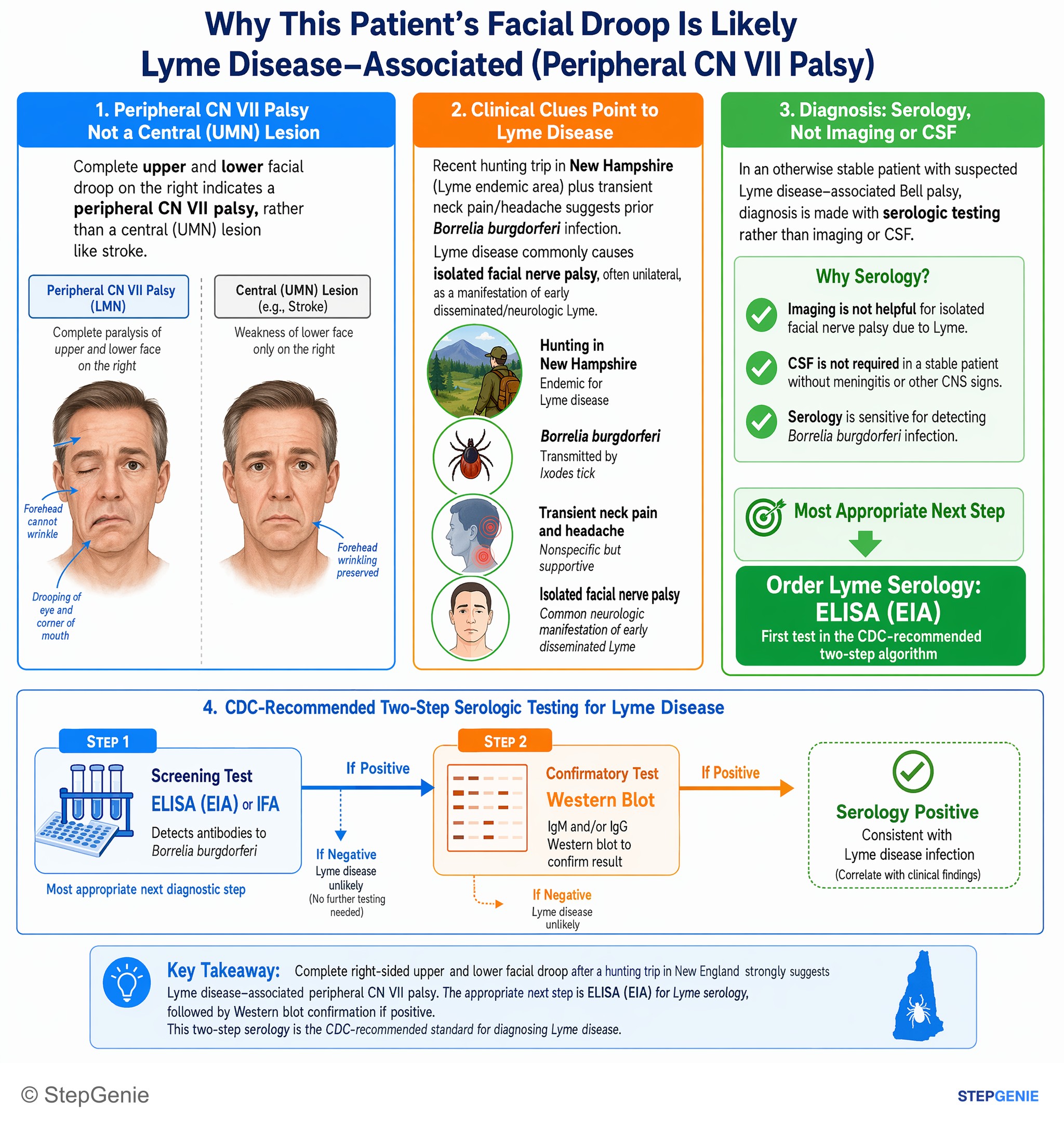 Step-by-step reasoning infographic: Lyme disease–associated Bell palsy after New England outdoor exposure → diagnose with two-step serology: ELISA first, then Western blot confirmation.