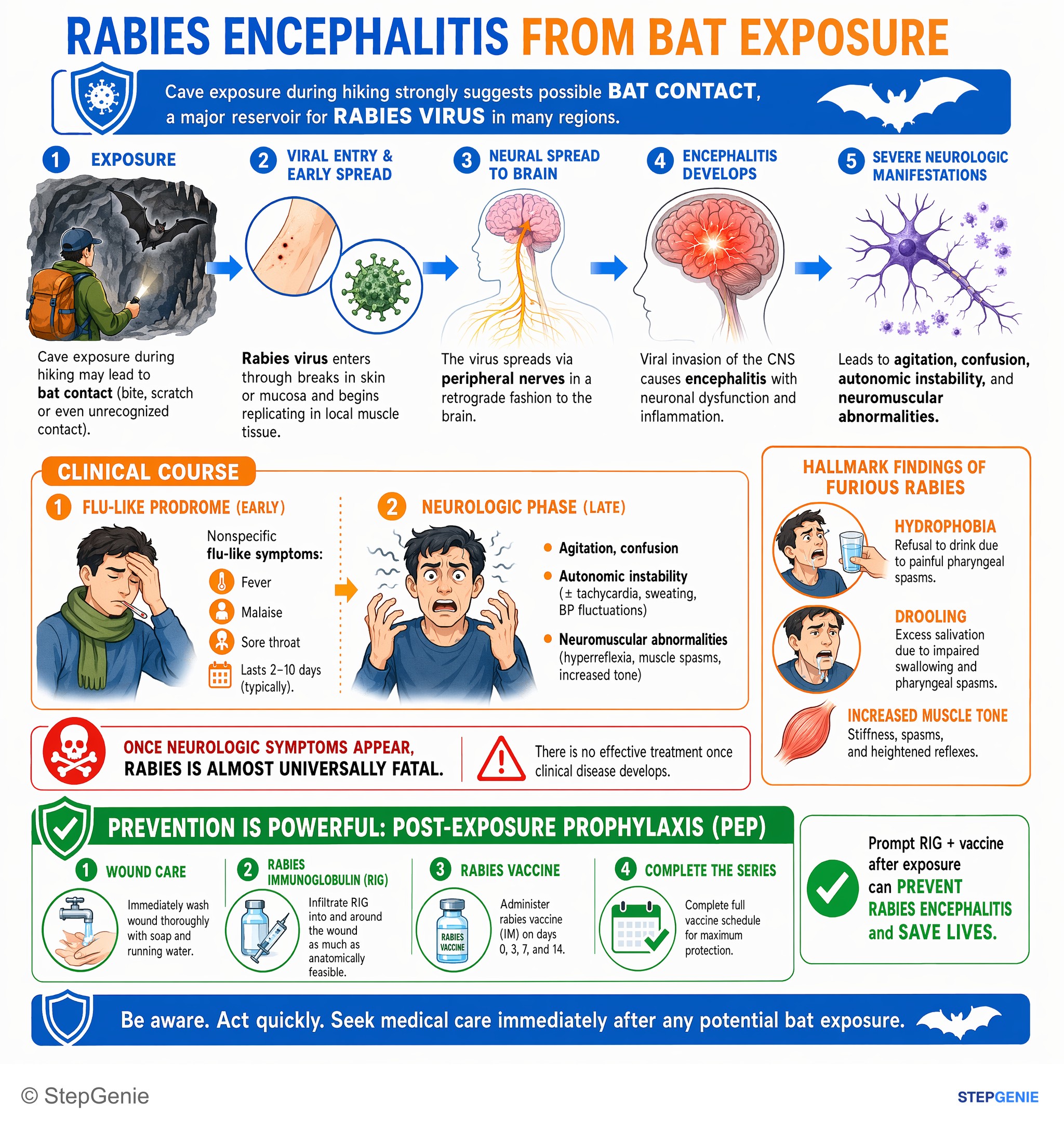 Viral infections — StepGenie USMLE Step 2 explanation infographic