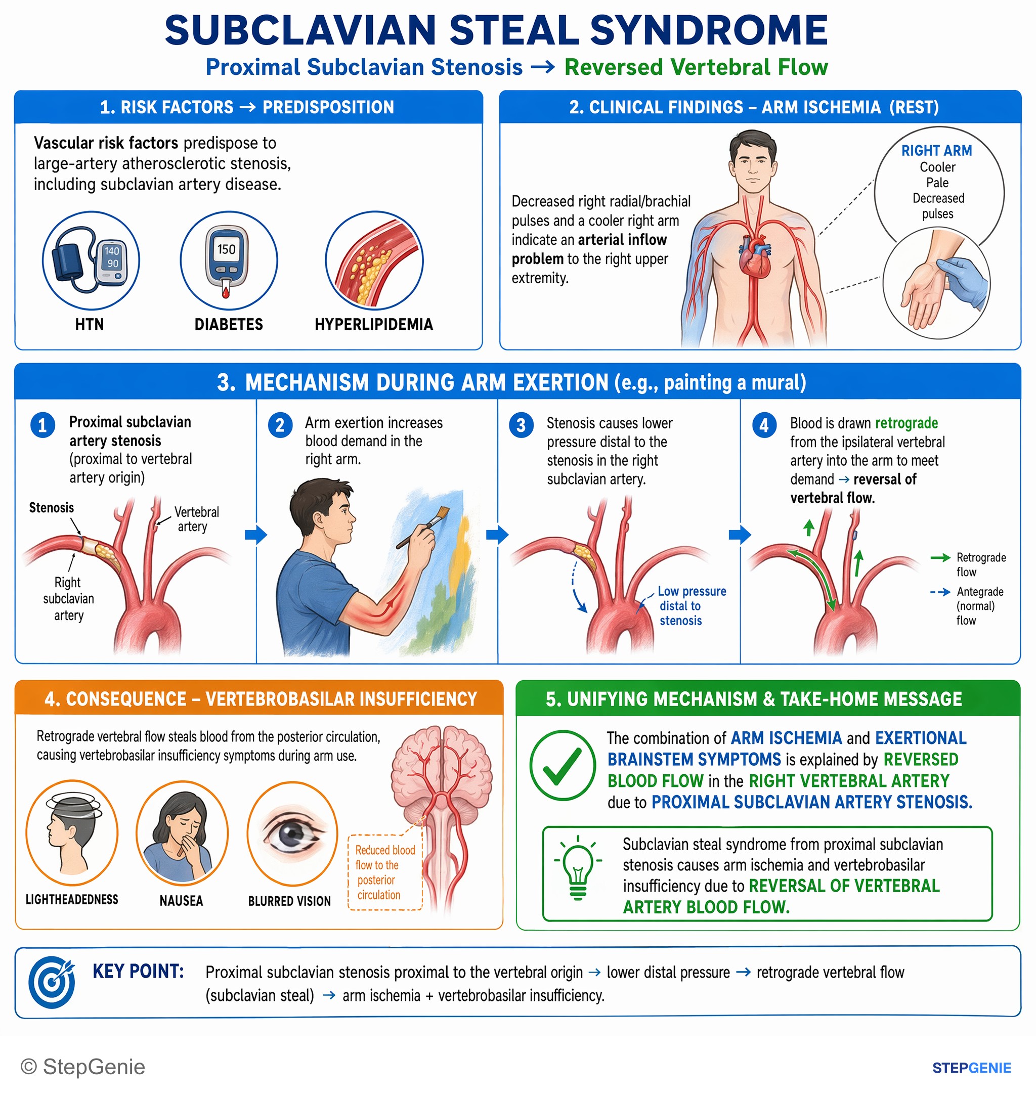 Aortic and peripheral artery diseases — StepGenie USMLE Step 1 explanation infographic