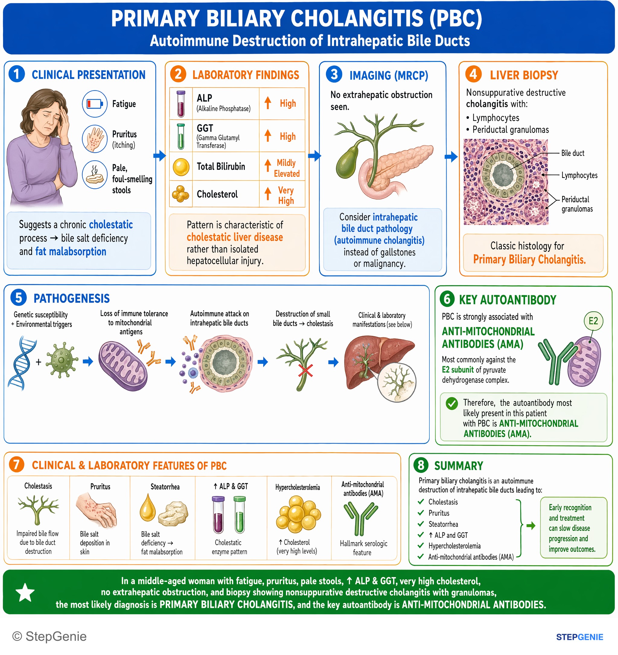 Autoimmune disorders — StepGenie USMLE Step 1 explanation infographic