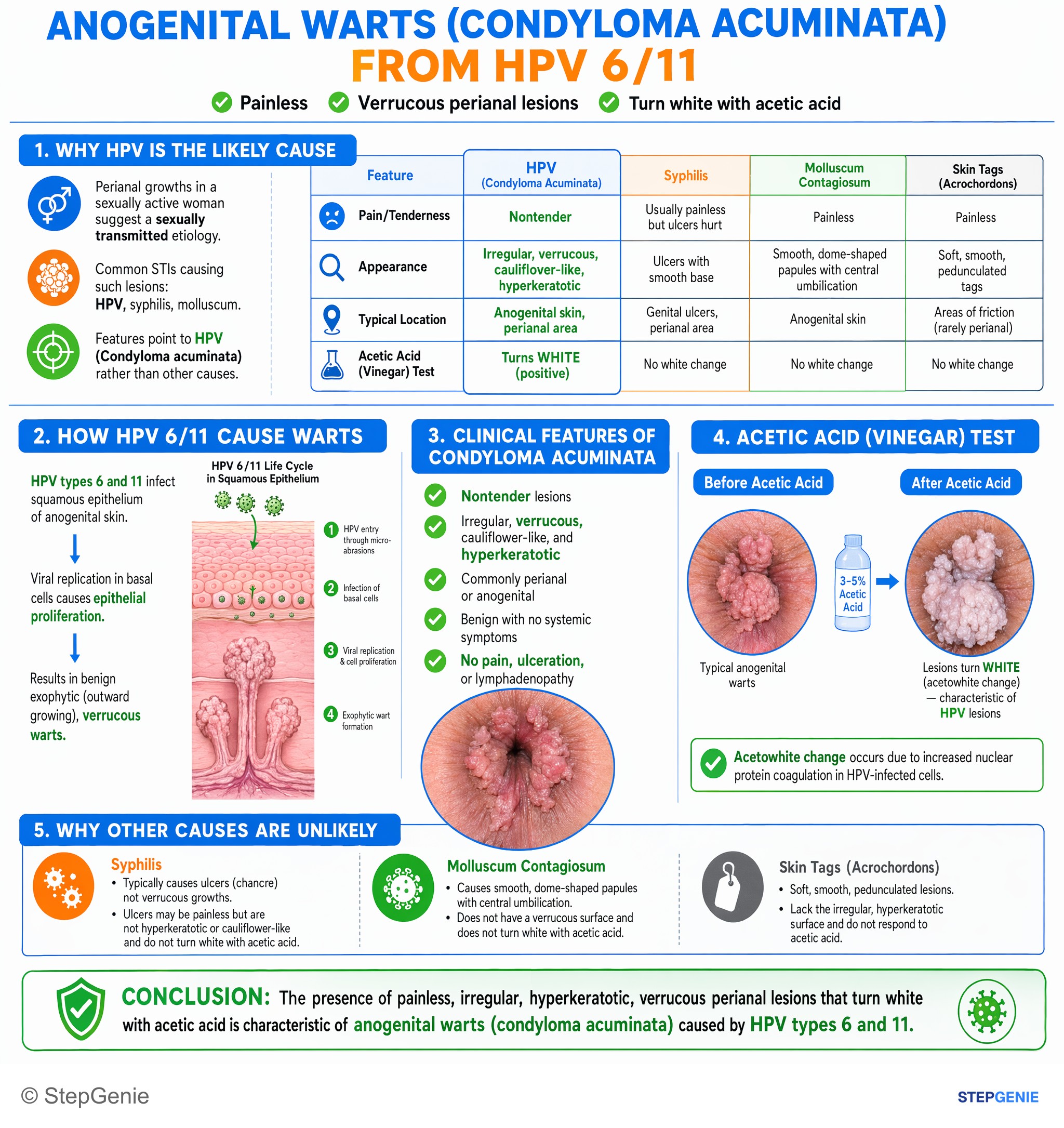 Viral infections — StepGenie USMLE Step 1 explanation infographic