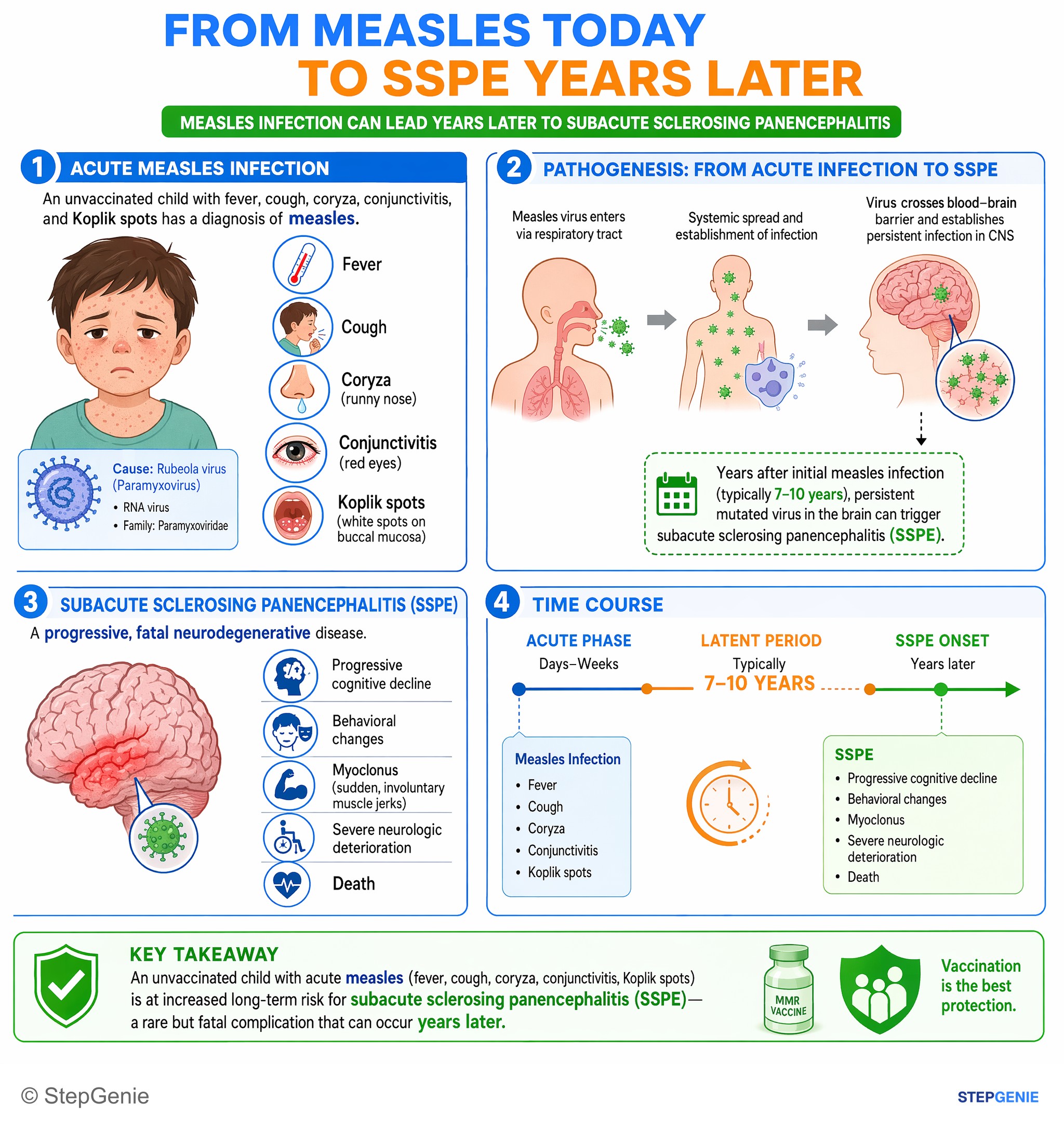 Viral infections — StepGenie USMLE Step 1 explanation infographic