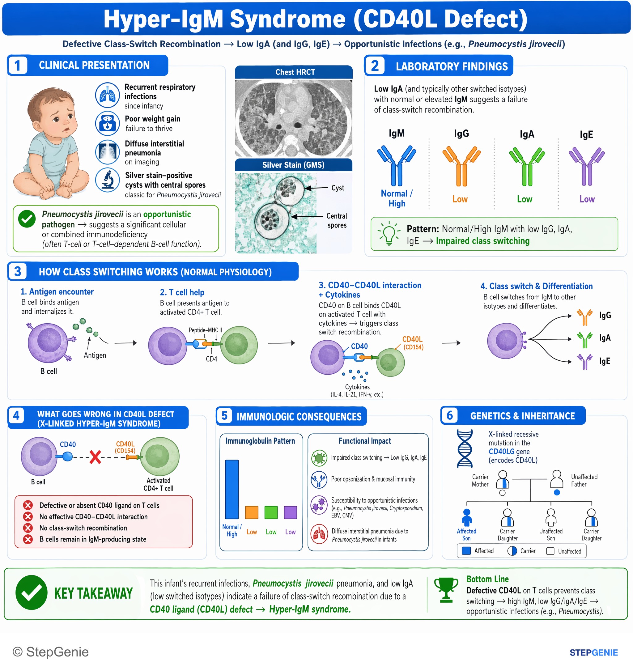 Parasitic and helminthic infections — StepGenie USMLE Step 1 explanation infographic