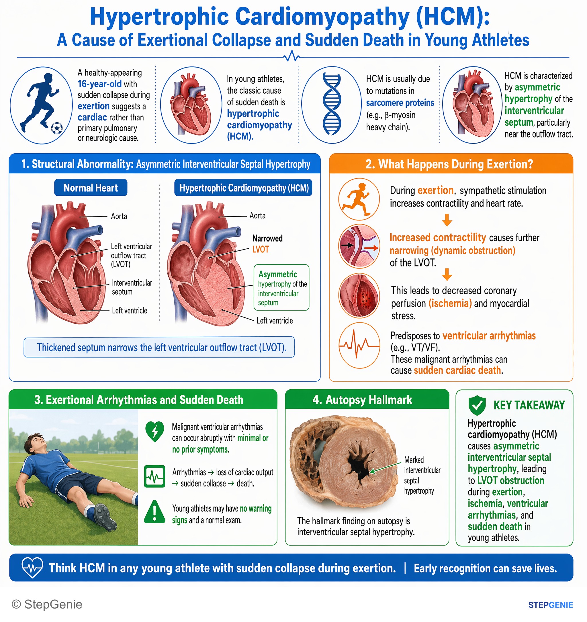 Congenital heart disease — StepGenie USMLE Step 1 explanation infographic