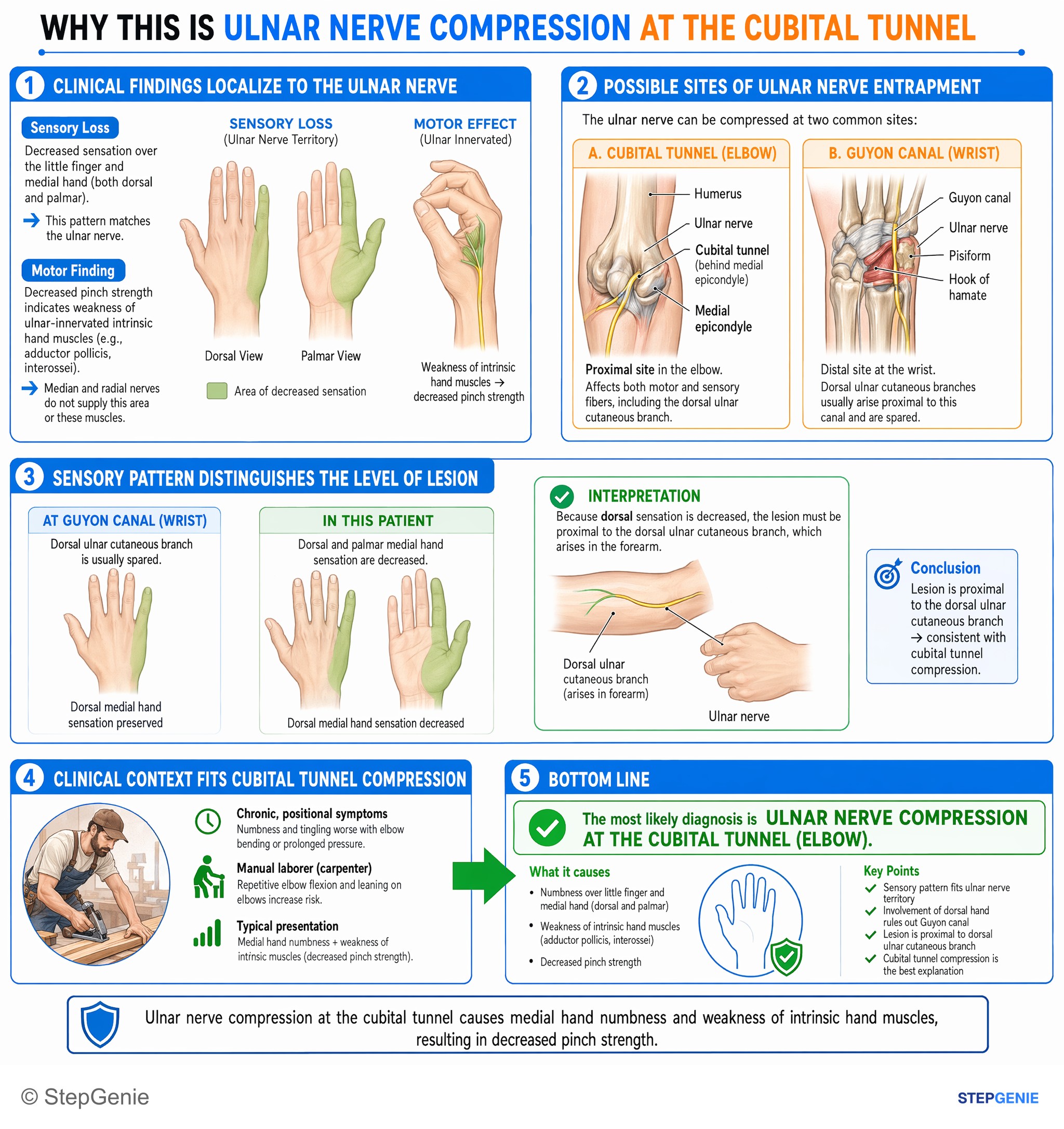 Upper limb nerves — StepGenie USMLE Step 1 explanation infographic
