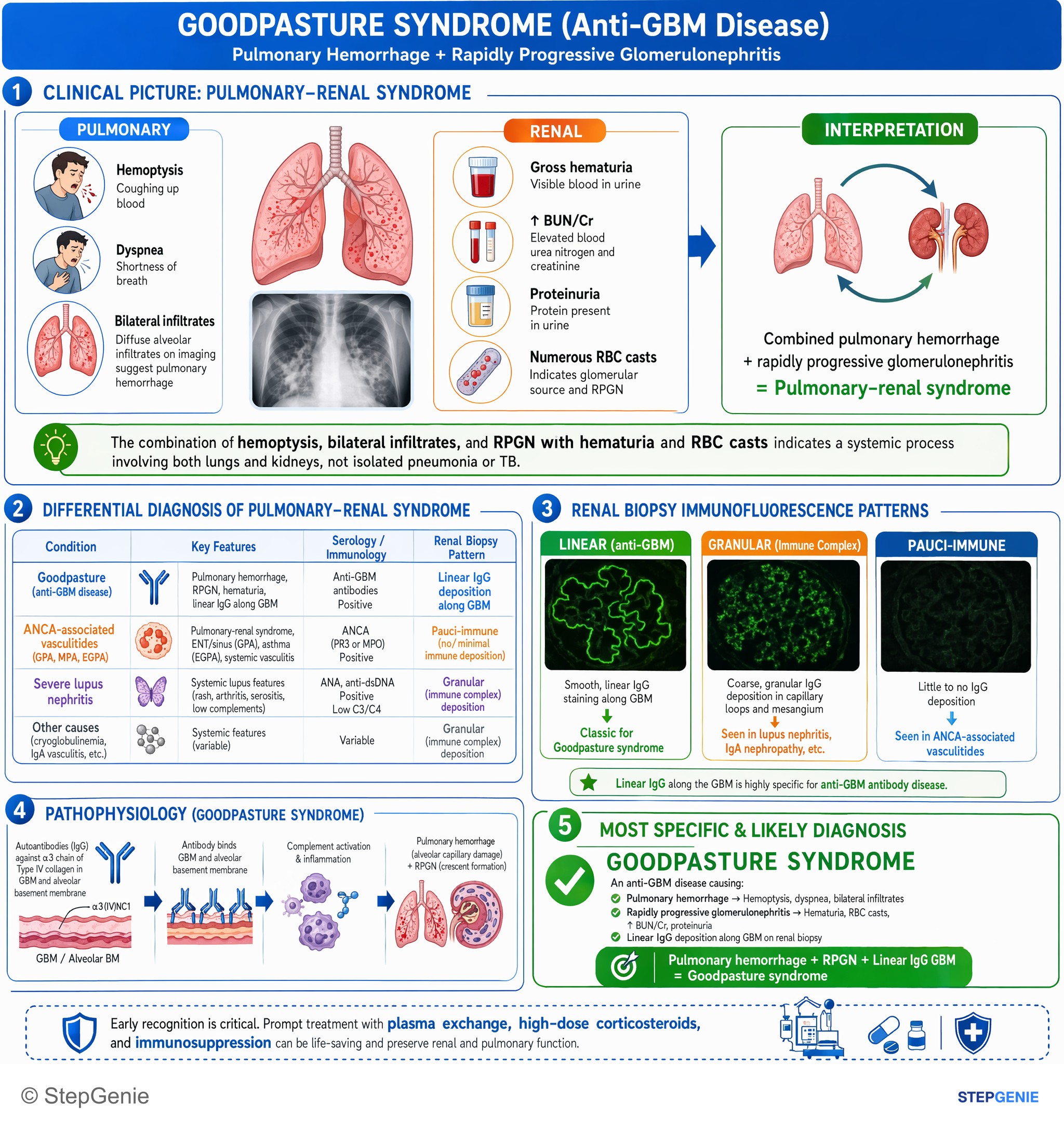 Glomerular diseases — StepGenie USMLE Step 1 explanation infographic