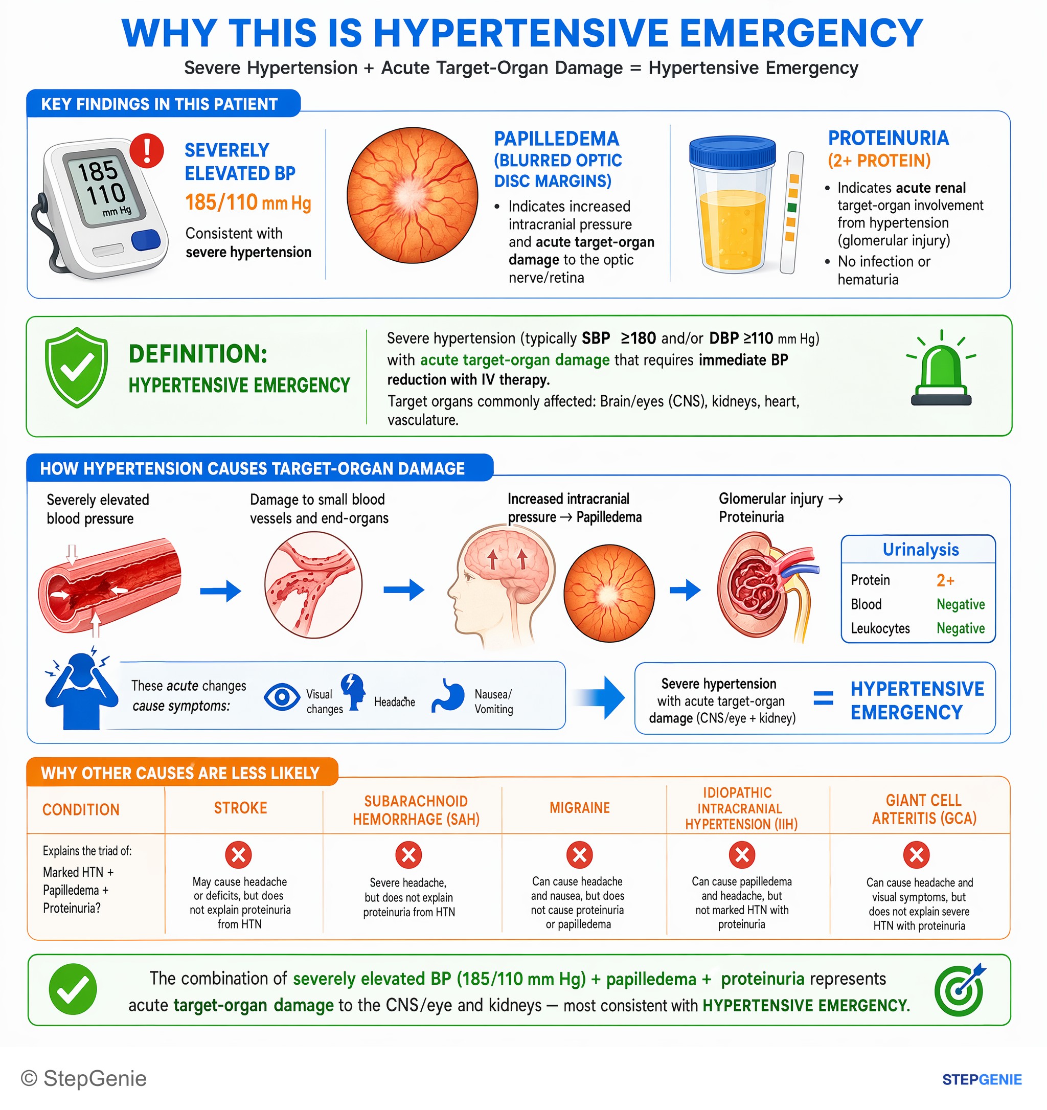 Hypertension — StepGenie USMLE Step 2 explanation infographic