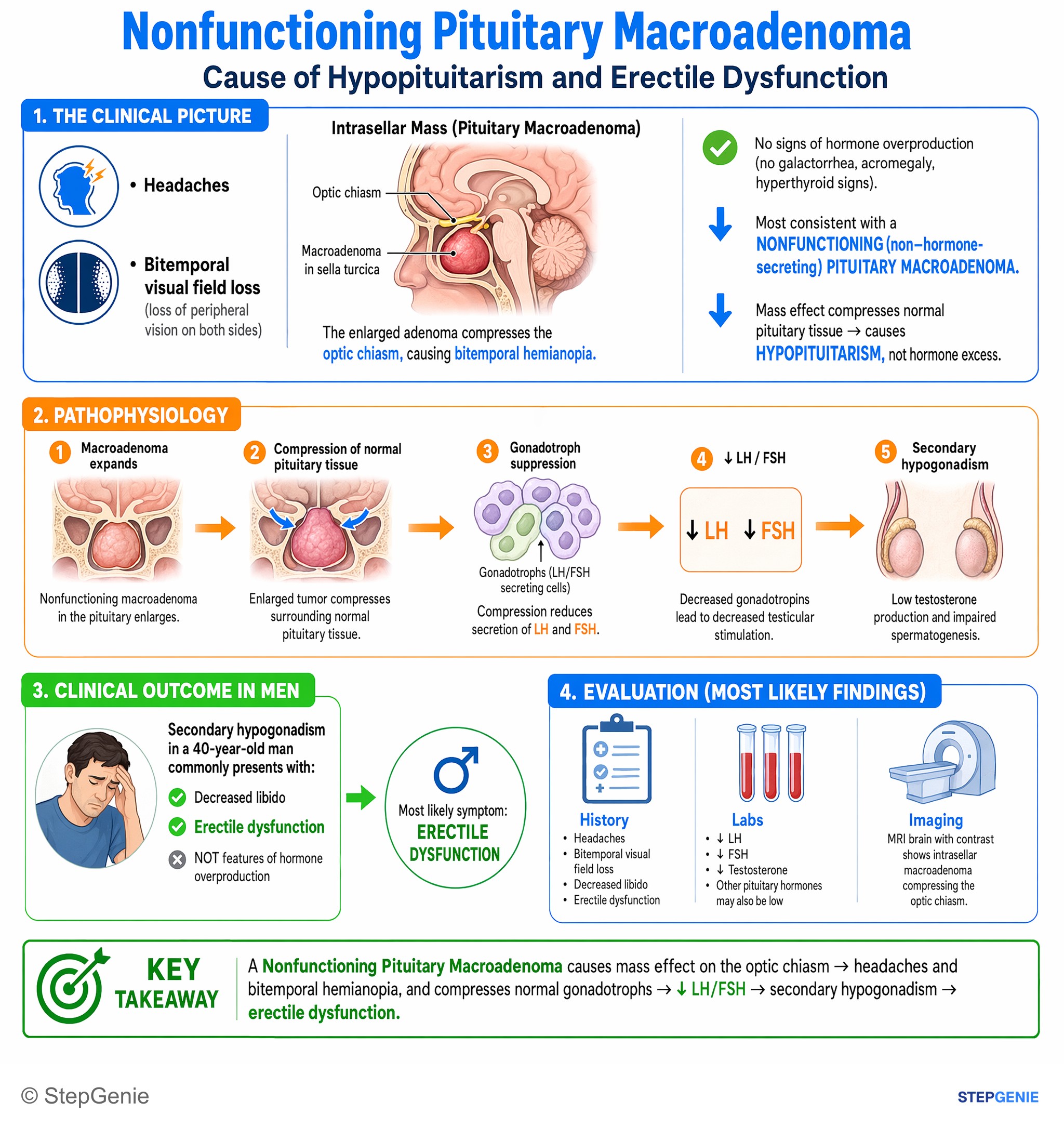 Endocrine tumors — StepGenie USMLE Step 2 explanation infographic