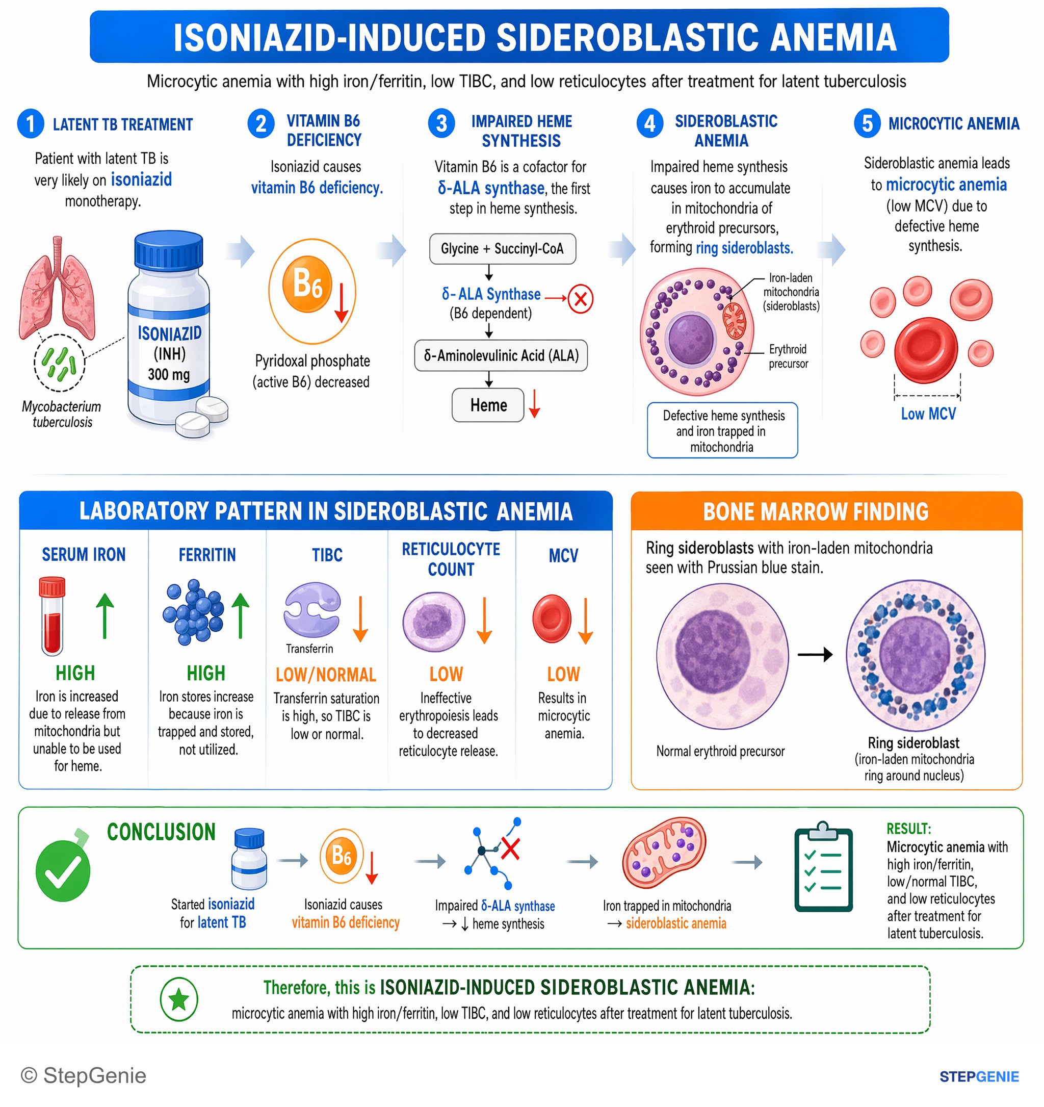 Red blood cell disorders — StepGenie USMLE Step 2 explanation infographic